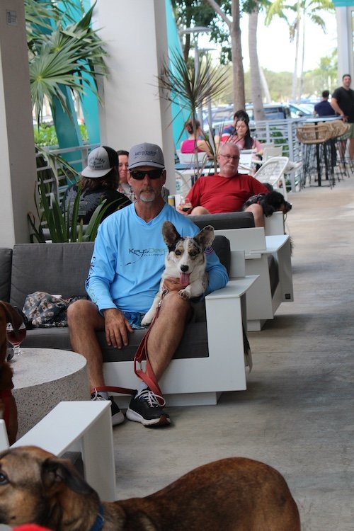 dog-man-blue-shirt-cove-brewery-deerfield-beach-fl.JPG