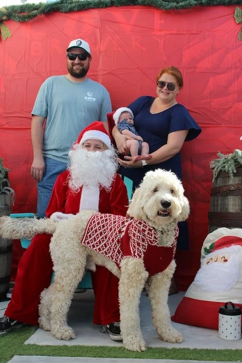 fluffy-white-dog-baby-family-santa.JPG