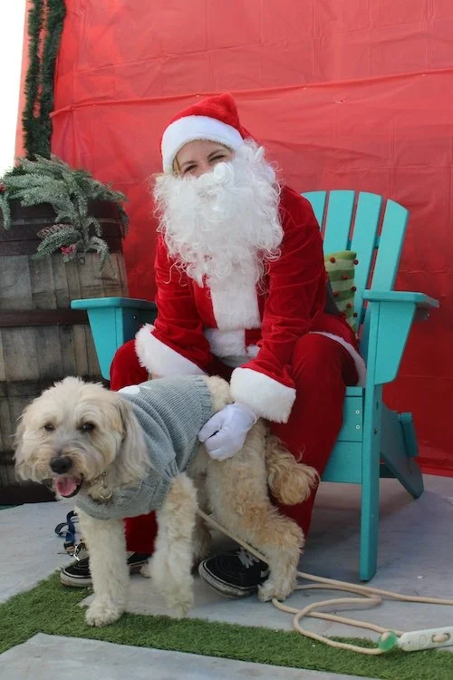 one-fluffy-dog-santa-cove-brewery.JPG