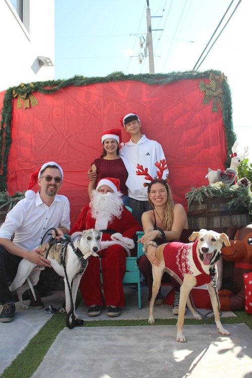 people-two-big-dogs-santa-cove-brewery.JPG