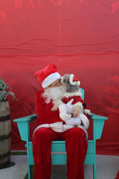 santa-dog-cove-brewery-deerfield-beach-florida.JPG