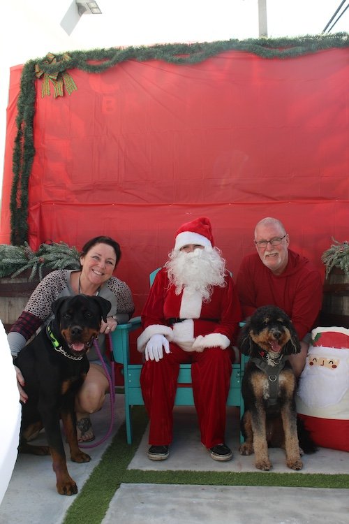 santa-paws-big-dogs-cove-brewery-deerfield-beach-florida.JPG