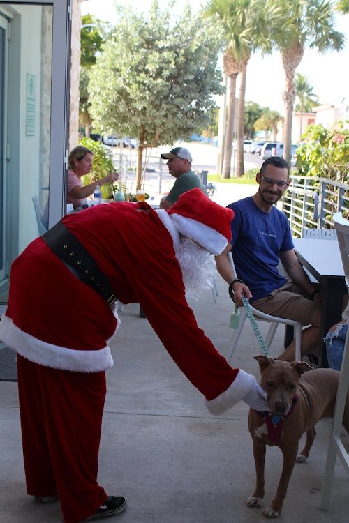 santa-paws-dog-event-cove-brewery-deerfield-beach-fl.JPG