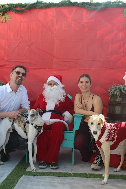 two-big-dogs-santa-cove-brewery.JPG