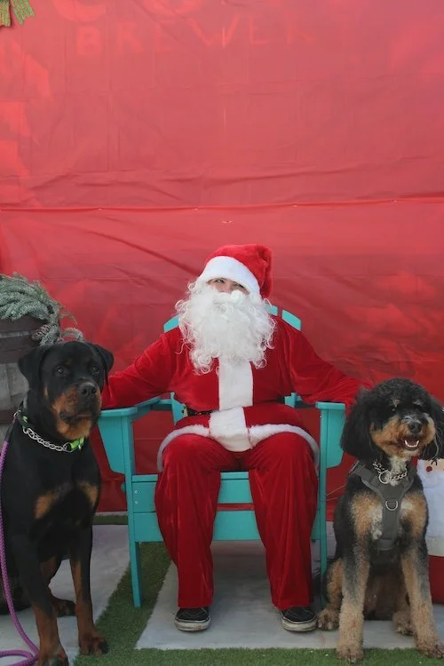 two-big-dogs-santa-event-cove-brewery-deerfield-beach-florida.JPG