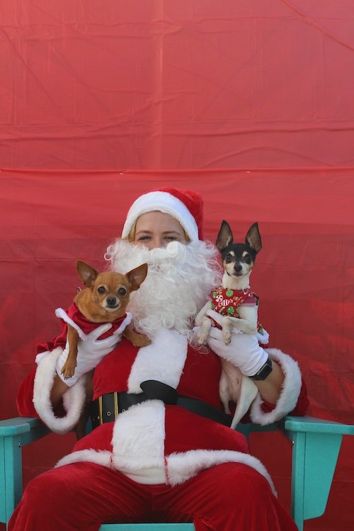 two-dogs-santa-florida.JPG