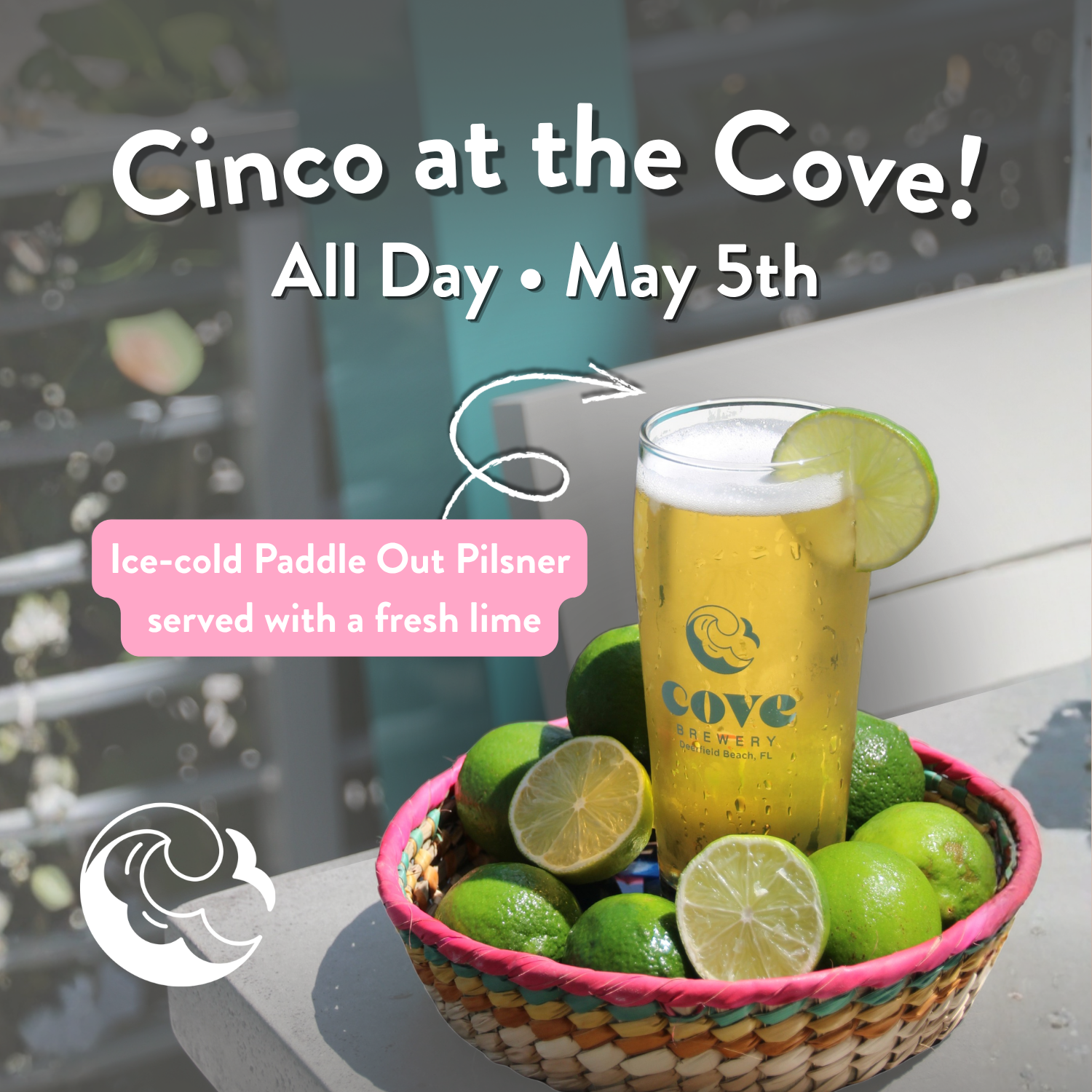 Cinco at the Cove | All Day Celebration