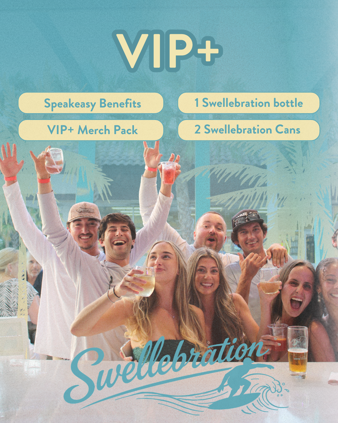 VIP_Slide_(3).png