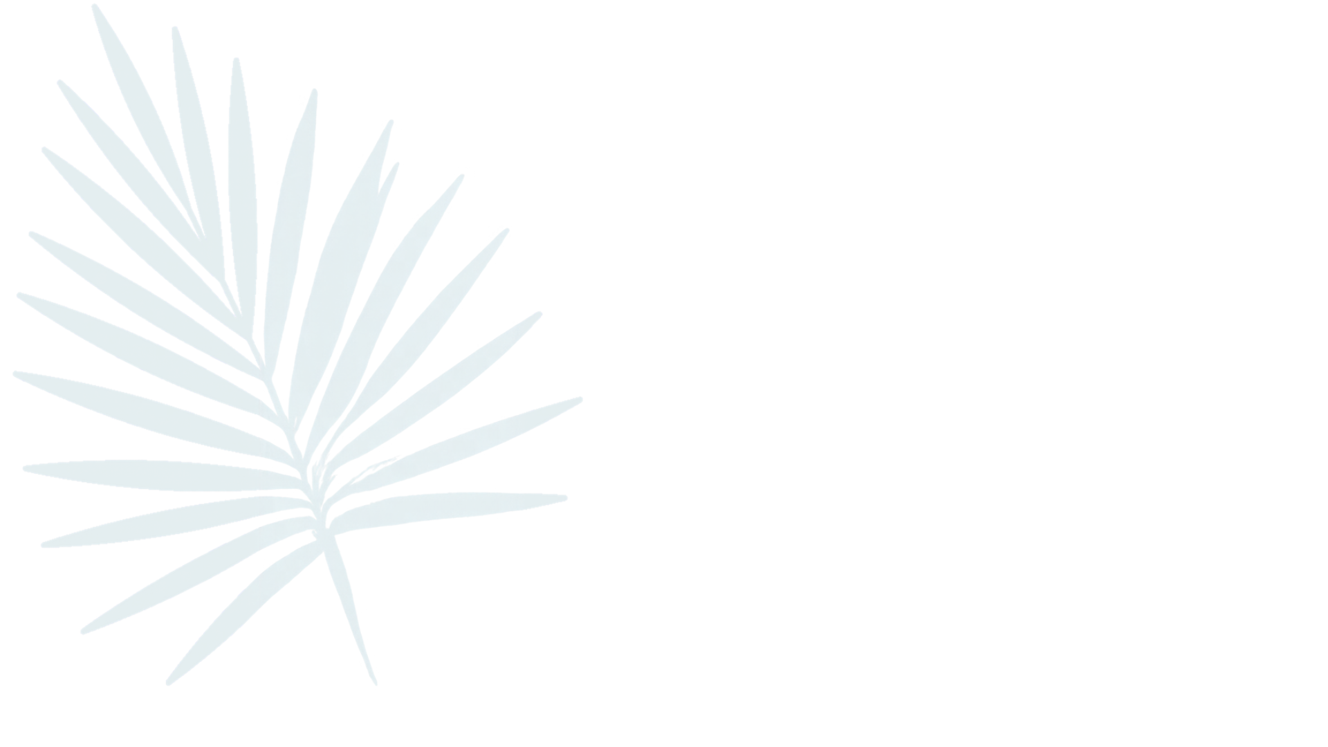 palm-fron-cove-brewery.png