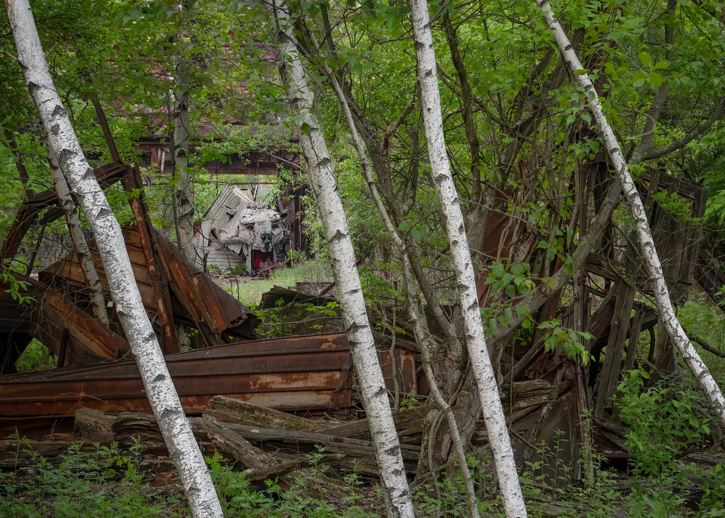 Bear Revisited 2.jpg