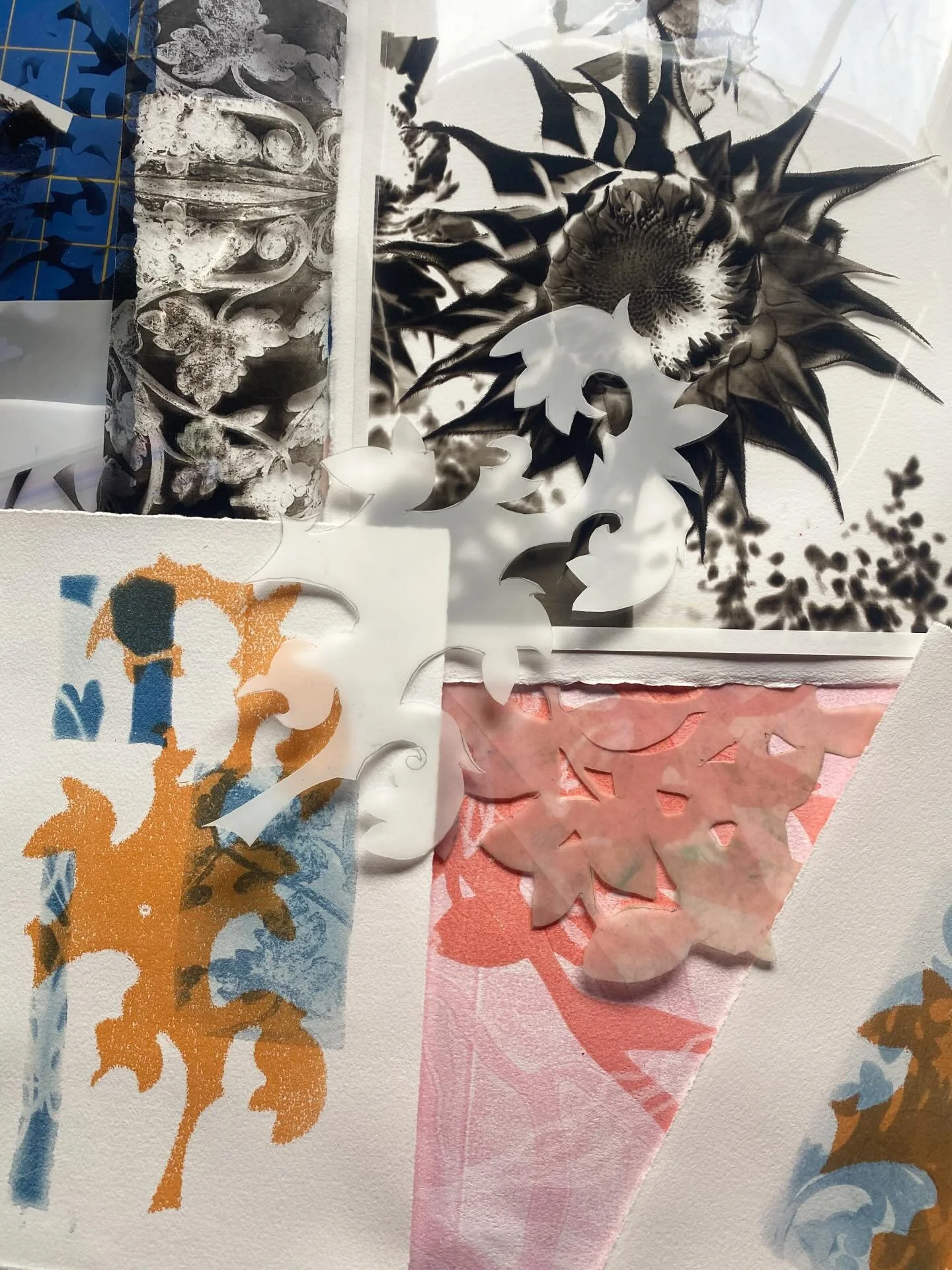 Yesterday, @wild.persimmon.art.studio and I hosted a chat and demo about our upcoming &ldquo;Out of the Blue: Cyanotype to Monotype&rdquo; residency/workshop at La Romita in Terni, Umbria in Italy. Thank you to those who could join us! If you are int