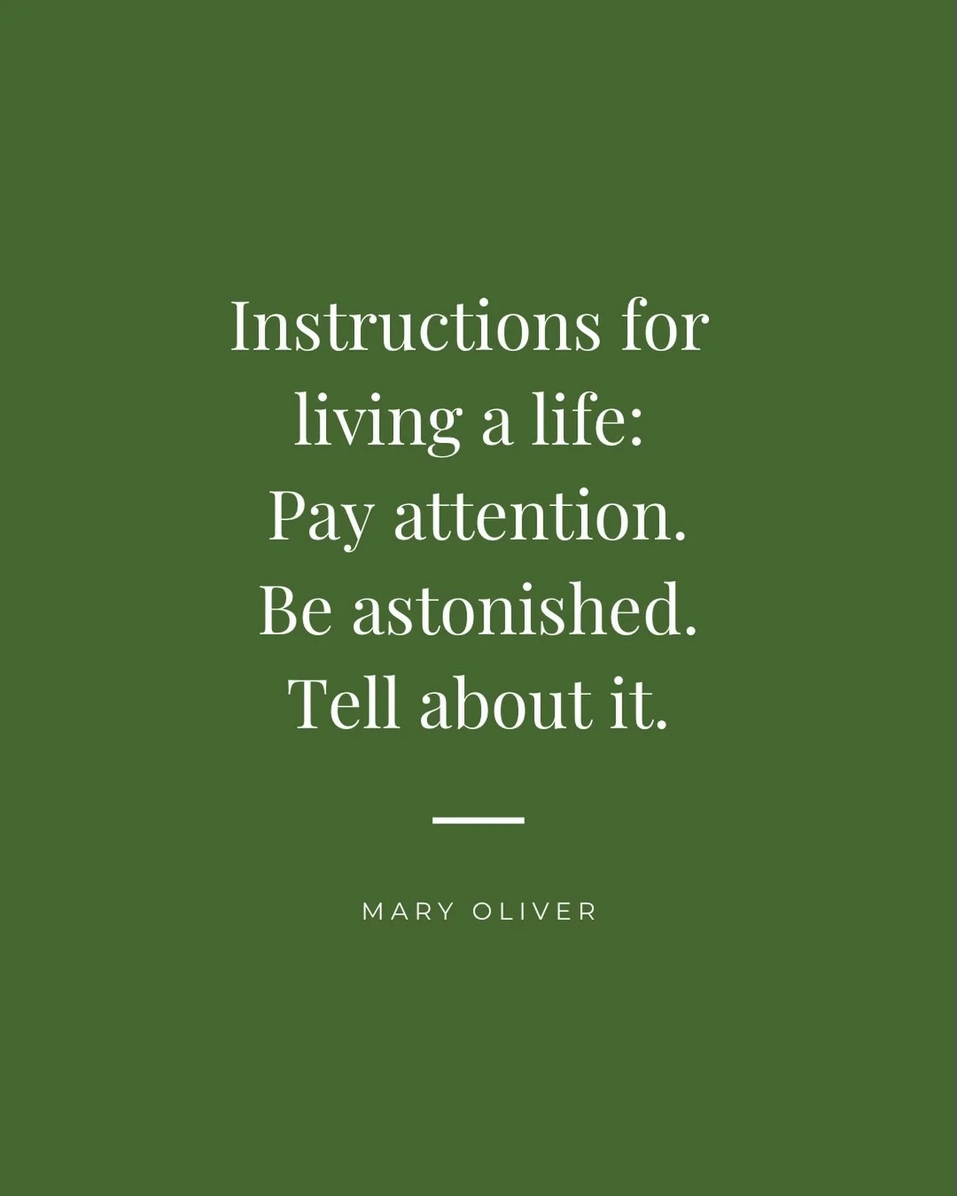 Today I launched &ldquo;Beauty in the Details&rdquo; on @substack! 
Follow me there! 🌱 Link in profile.