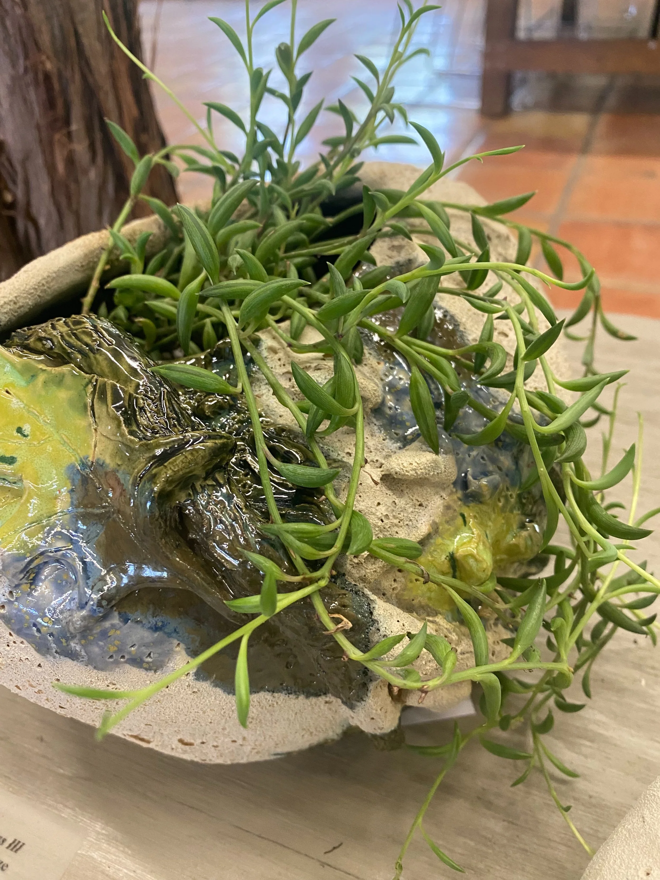 Another layer that I included in Holding Stillness, my post-art residency solo exhibition at Wild Basin, is the body of ceramics that refer to the rich textures of the woodland floor. The organic forms are hand-built in a mid fire clay, with added el