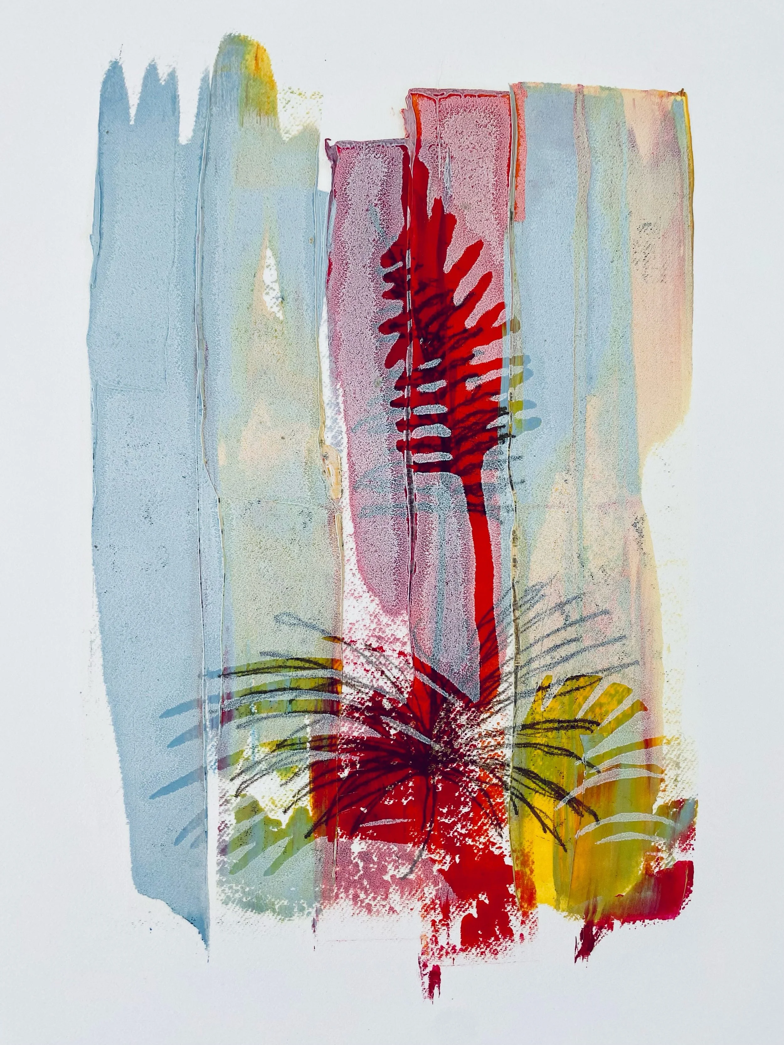 Devil&rsquo;s Shoestring
2026, monotype, 11 x 14in. 

The sculptural, Devil&rsquo;s Shoestring, Nolina lindheimeriana, loves the limestone slopes of @wildbasin. From its grassy cluster of finely serrated sheaths, a lone stem emerges in late spring, w