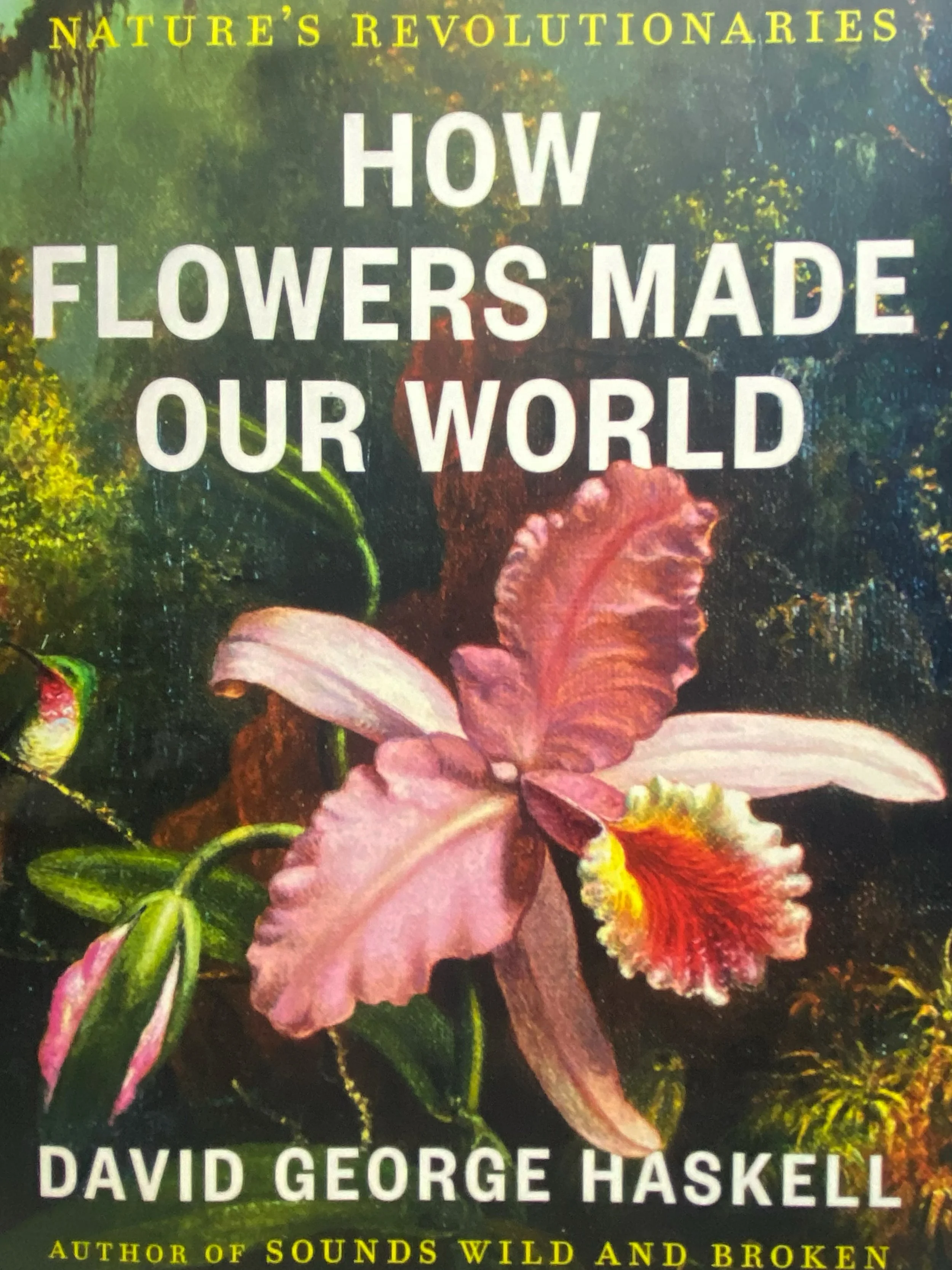 Currently reading&hellip; 

David George Haskell, &laquo;&nbsp;How Flowers Made Our World&nbsp;&raquo; 

Enjoying the deep dives into different species like the magnolia, the orchid and even the mighty dandelion&hellip; 

#naturereading #alwayslearni