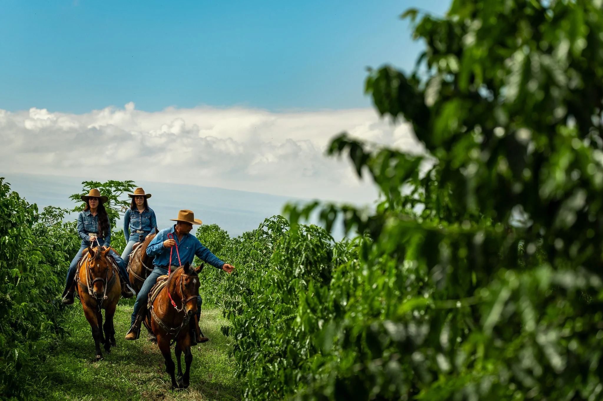 Cattlemen's-Hawaii-Jesse-Cudworth-Photography-52.jpg