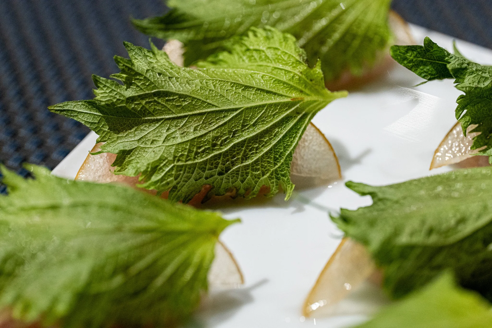 Accenture-saison-Jesse-Cudworth-Photography-161.jpg