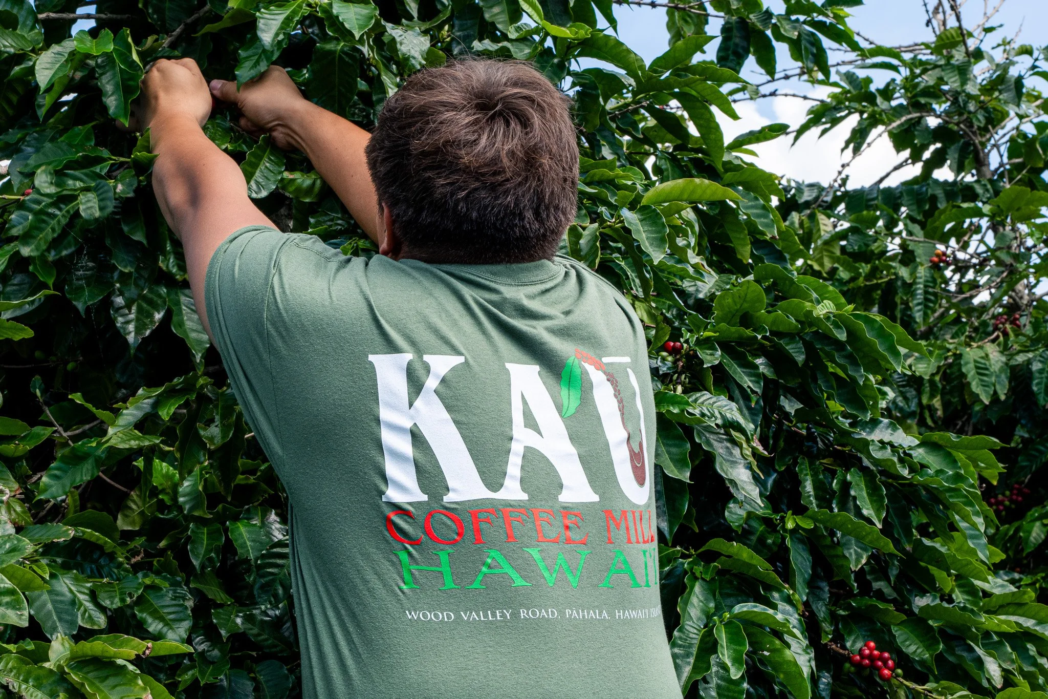 Ka'u Coffee Mill Photography-45.jpg