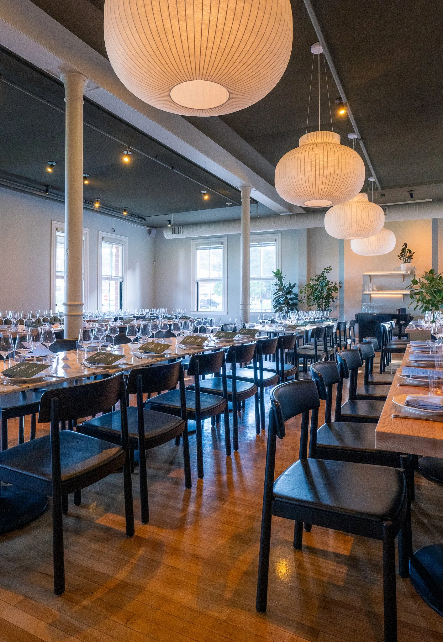 Dalida X James Beard Foundation Greens Jesse Cudworth-12.jpg