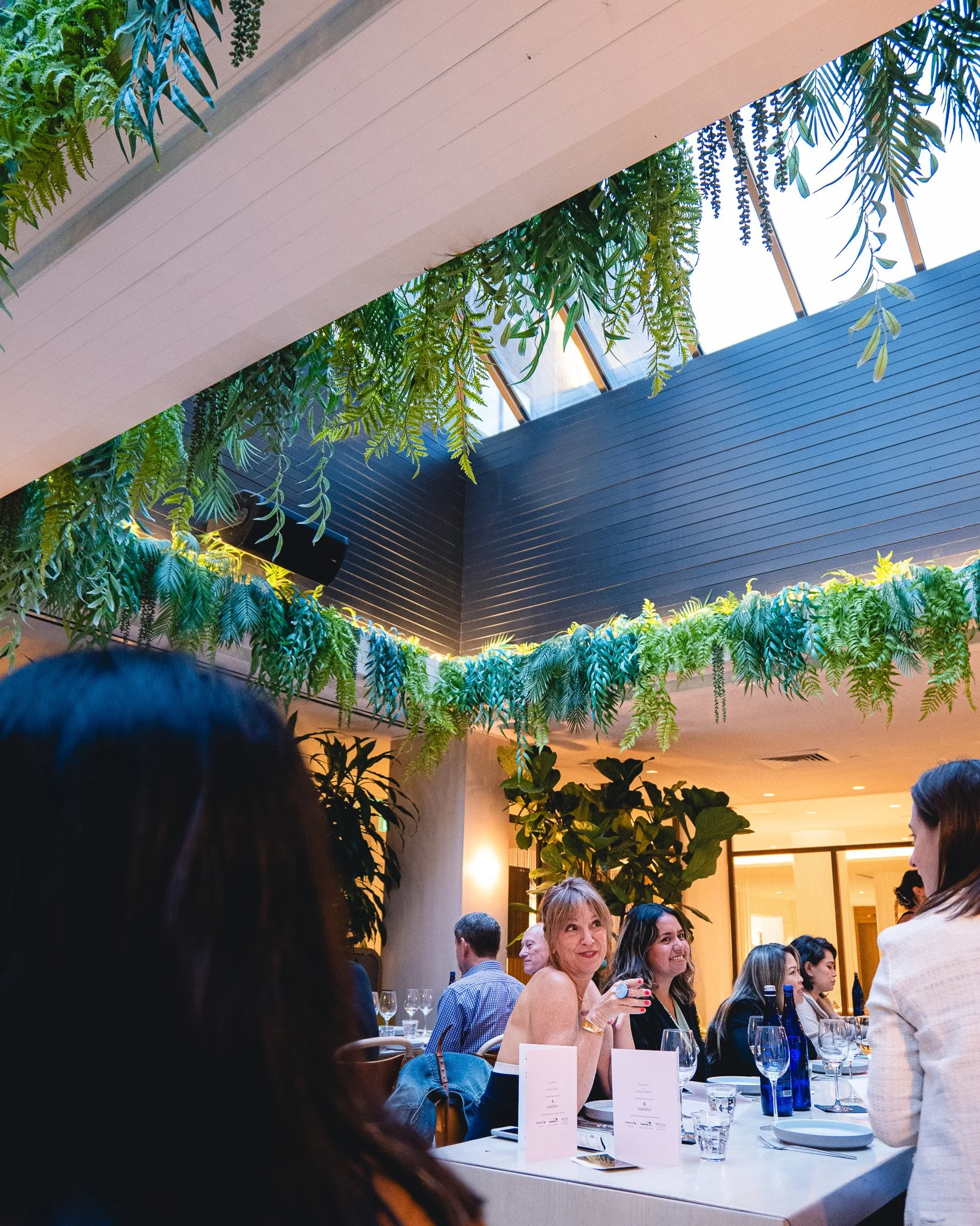 Abaca x JBF-109.jpg