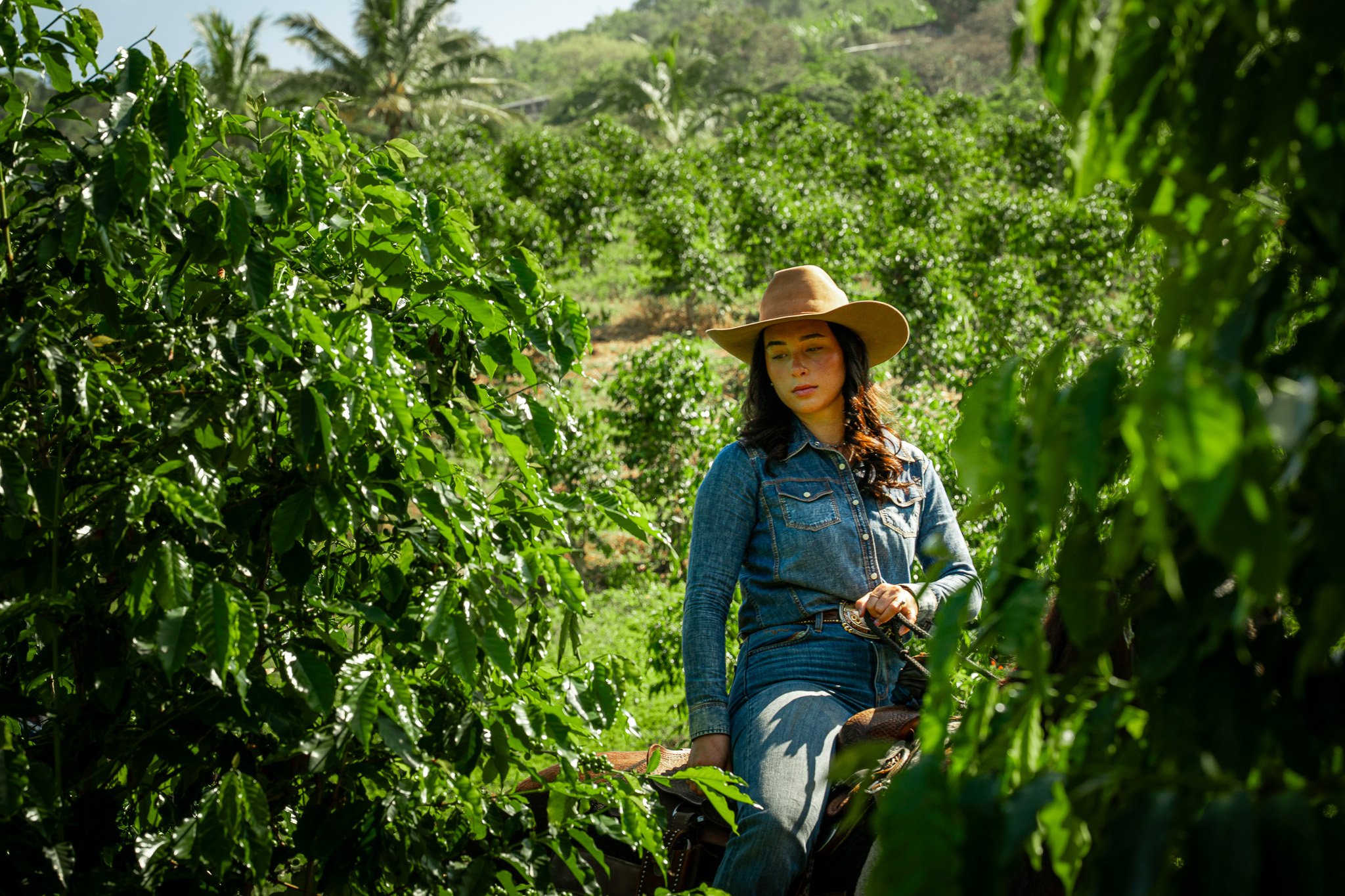 Cattlemen's-Hawaii-Jesse-Cudworth-Photography-34.jpg