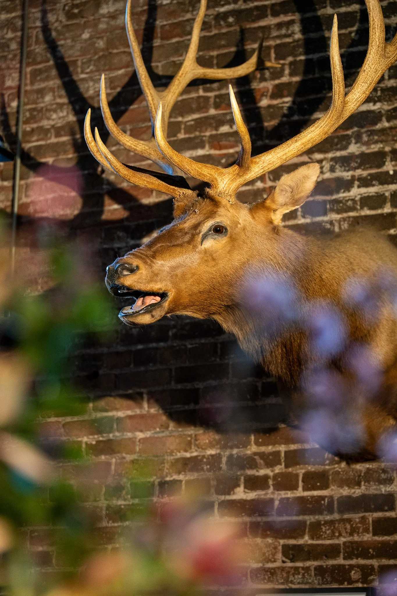 Accenture-saison-Jesse-Cudworth-Photography-7.jpg