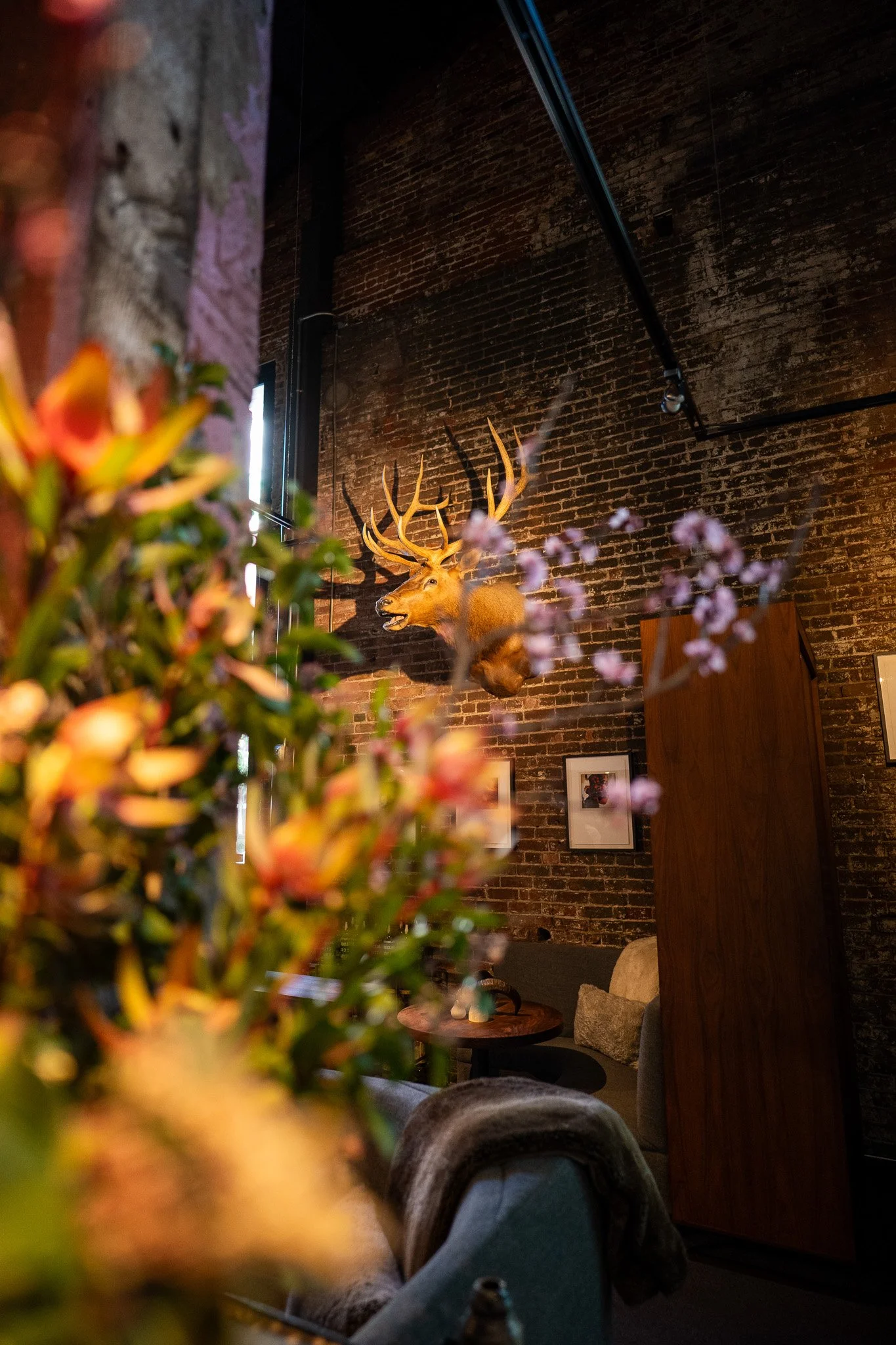 Accenture-saison-Jesse-Cudworth-Photography-2.jpg
