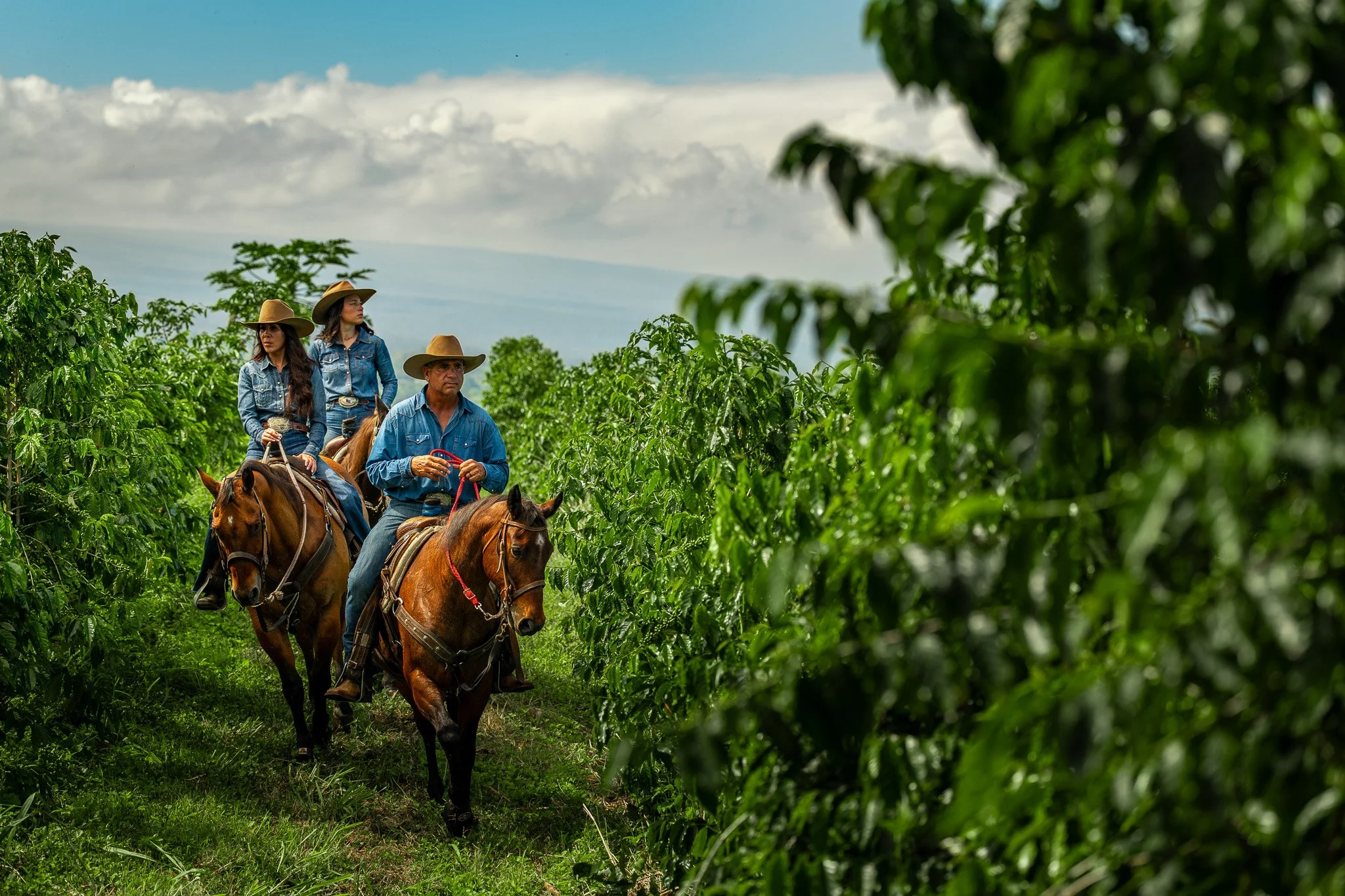 Cattlemen's-Hawaii-Jesse-Cudworth-Photography-53.jpg