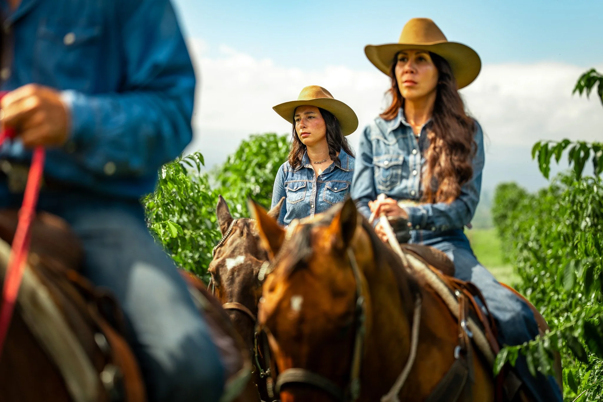 Cattlemen's-Hawaii-Jesse-Cudworth-Photography-58.jpg