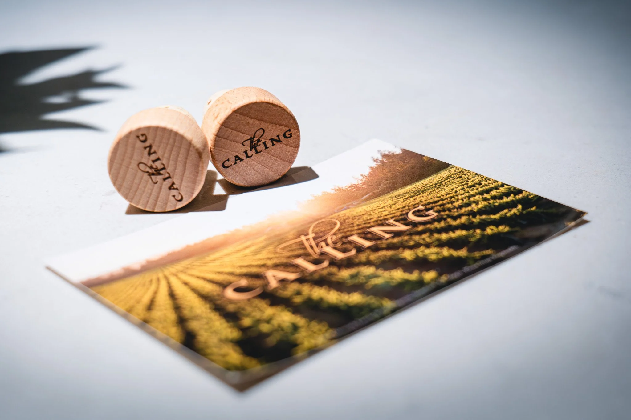 Abaca x JBF-151.jpg