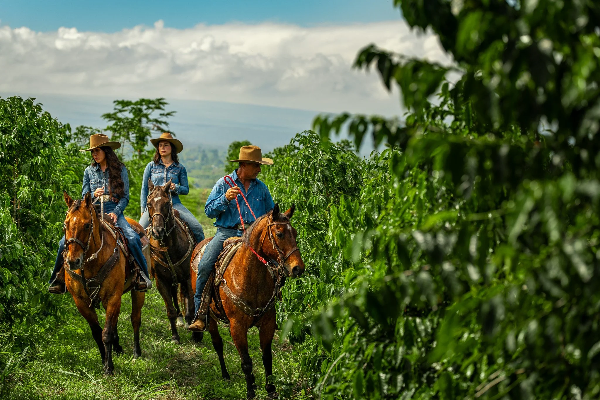 Cattlemen's-Hawaii-Jesse-Cudworth-Photography-54.jpg