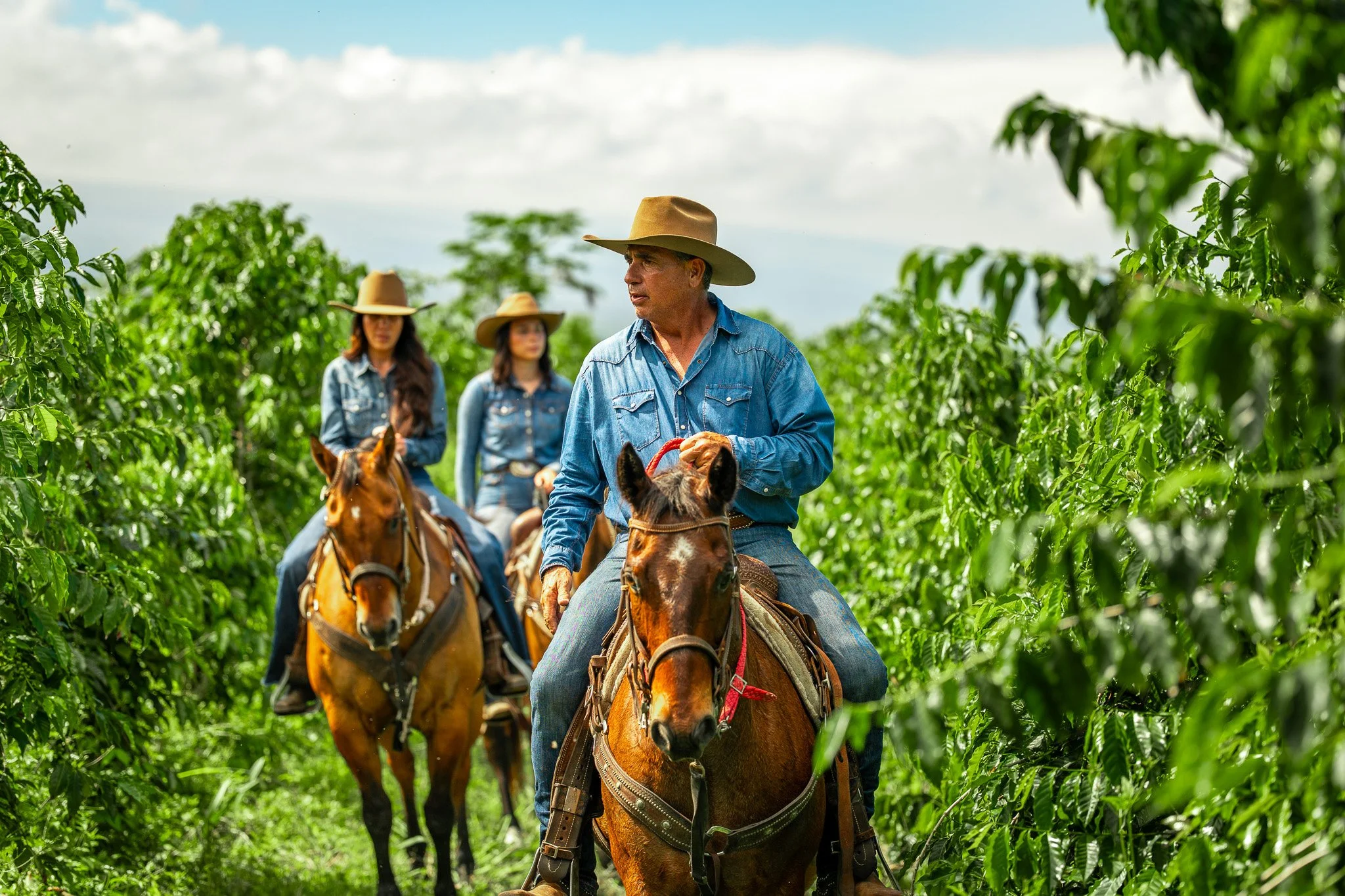 Cattlemen's-Hawaii-Jesse-Cudworth-Photography-55.jpg
