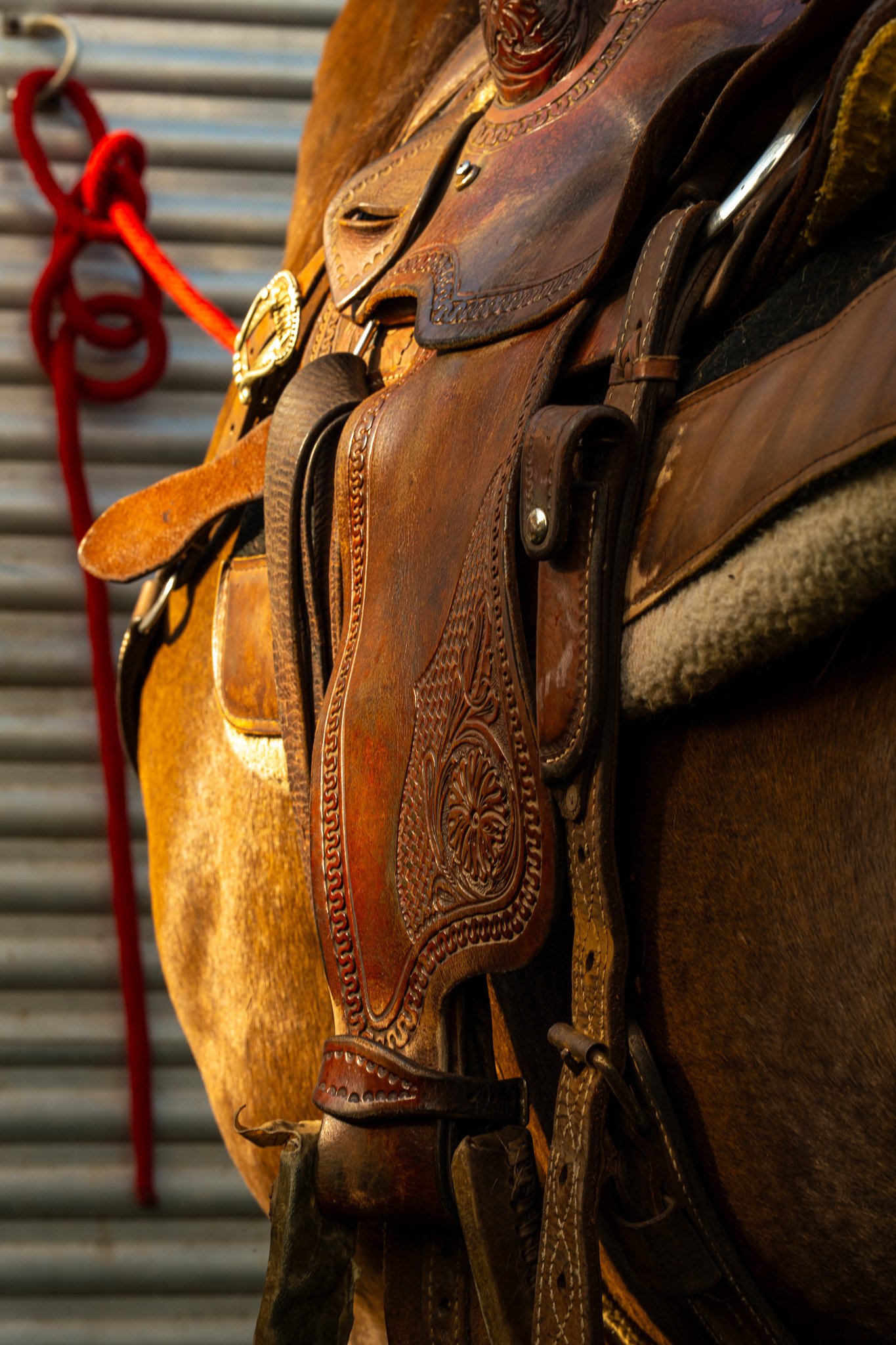 Cattlemen's-Hawaii-Jesse-Cudworth-Photography-7.jpg