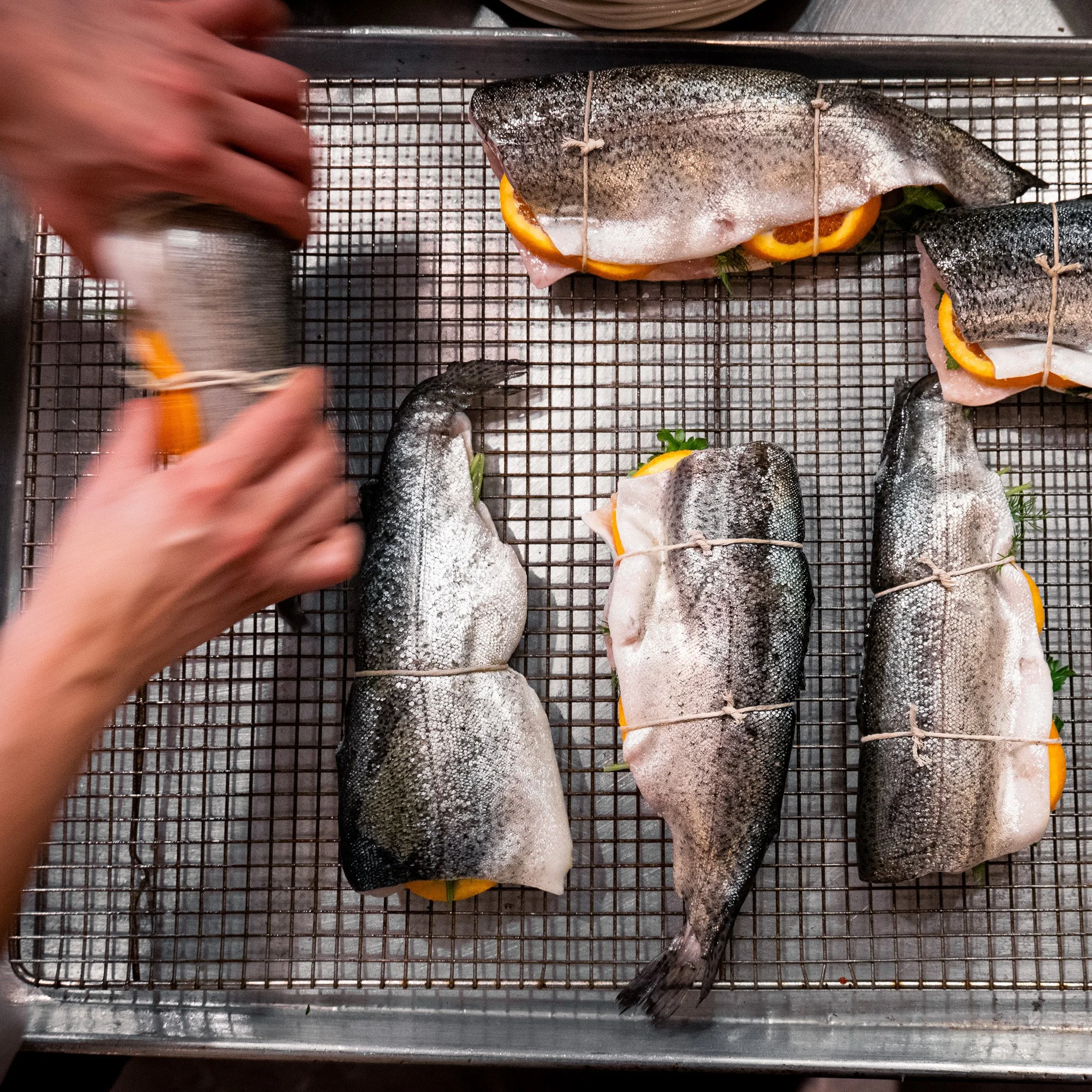 Dalida X James Beard Foundation Greens Jesse Cudworth-70.jpg