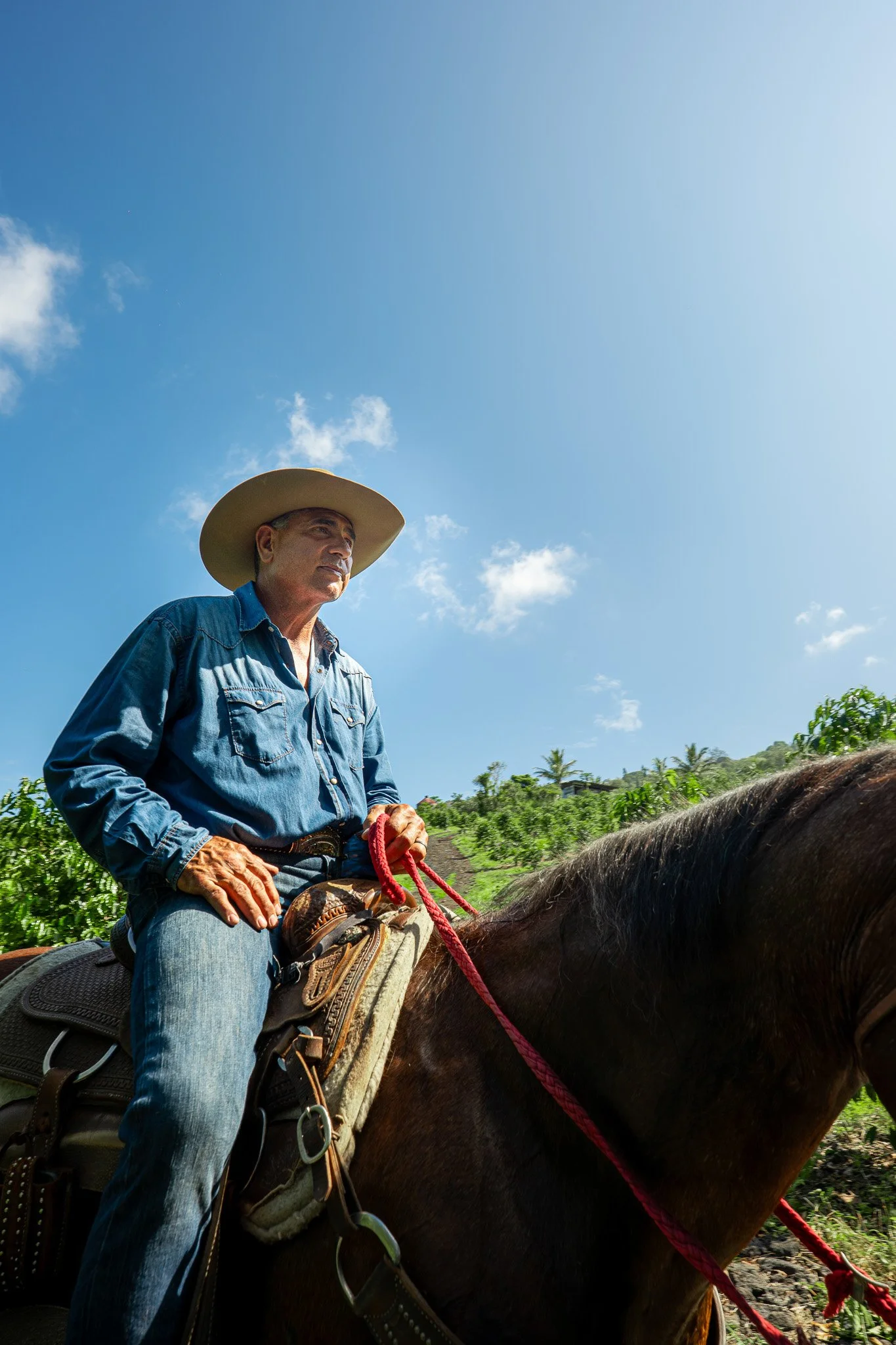 Cattlemen's-Hawaii-Jesse-Cudworth-Photography-28.jpg