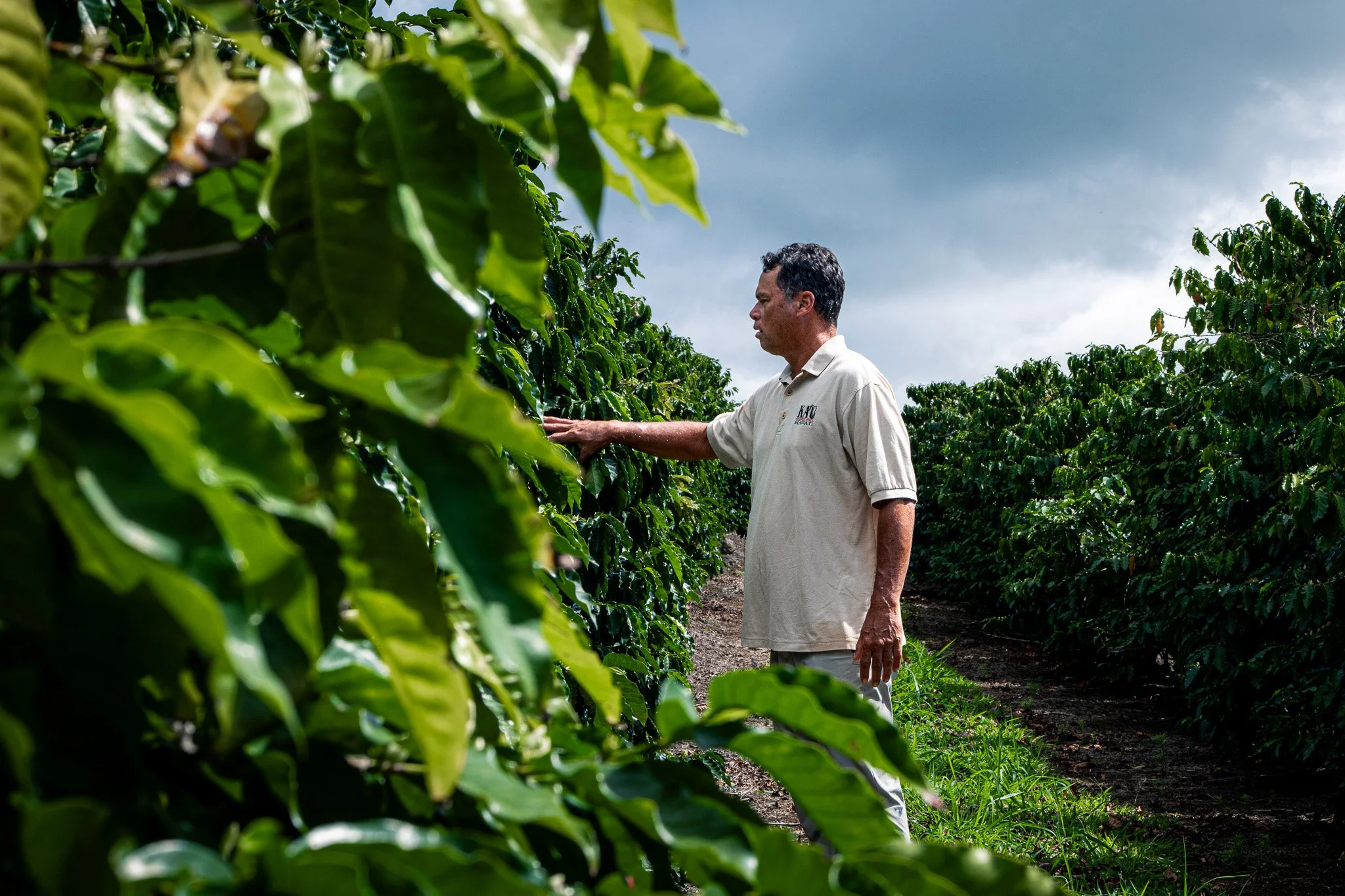 Ka'u Coffee Mill Photography-51.jpg