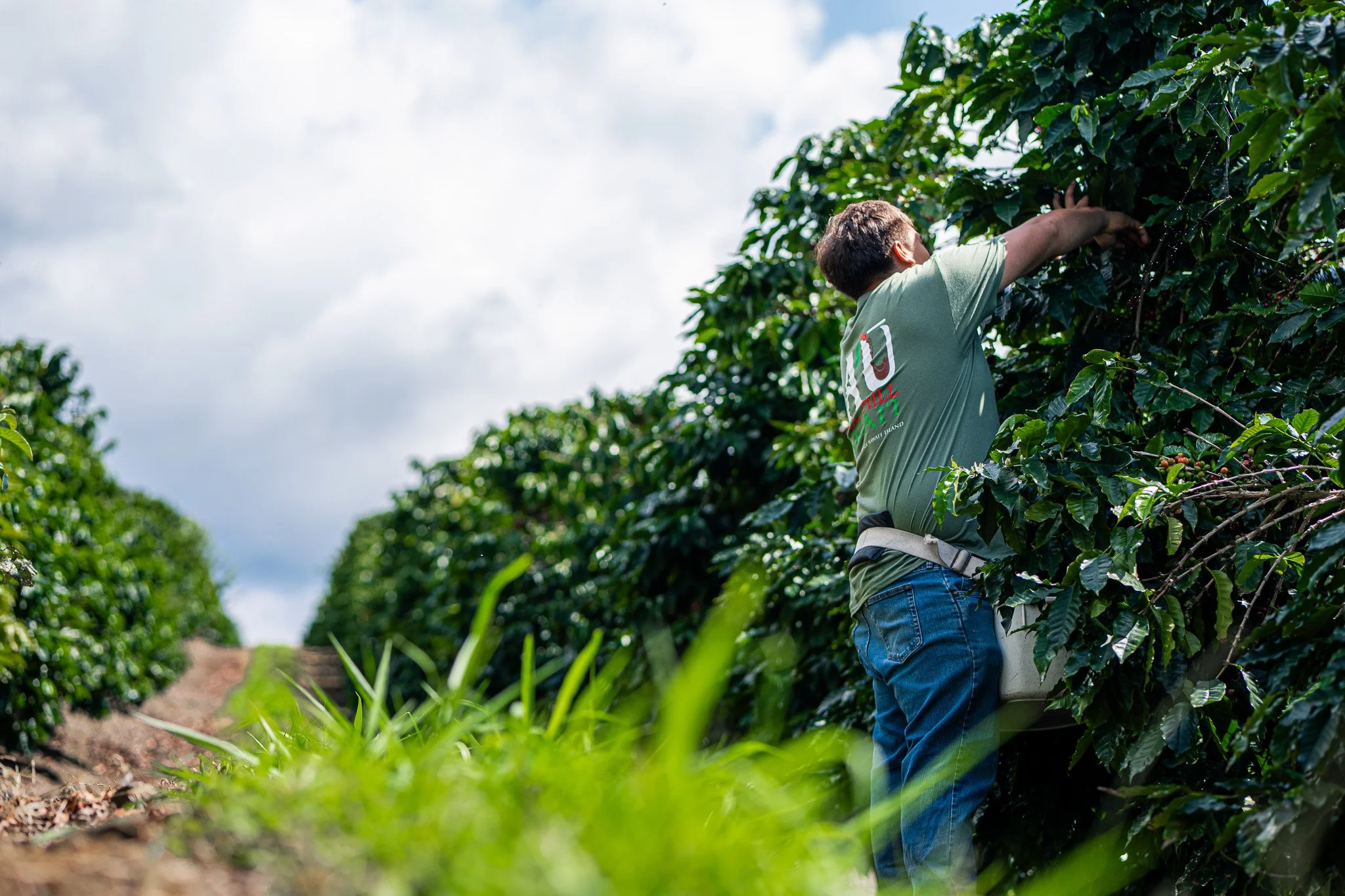 Ka'u Coffee Mill Photography-68.jpg
