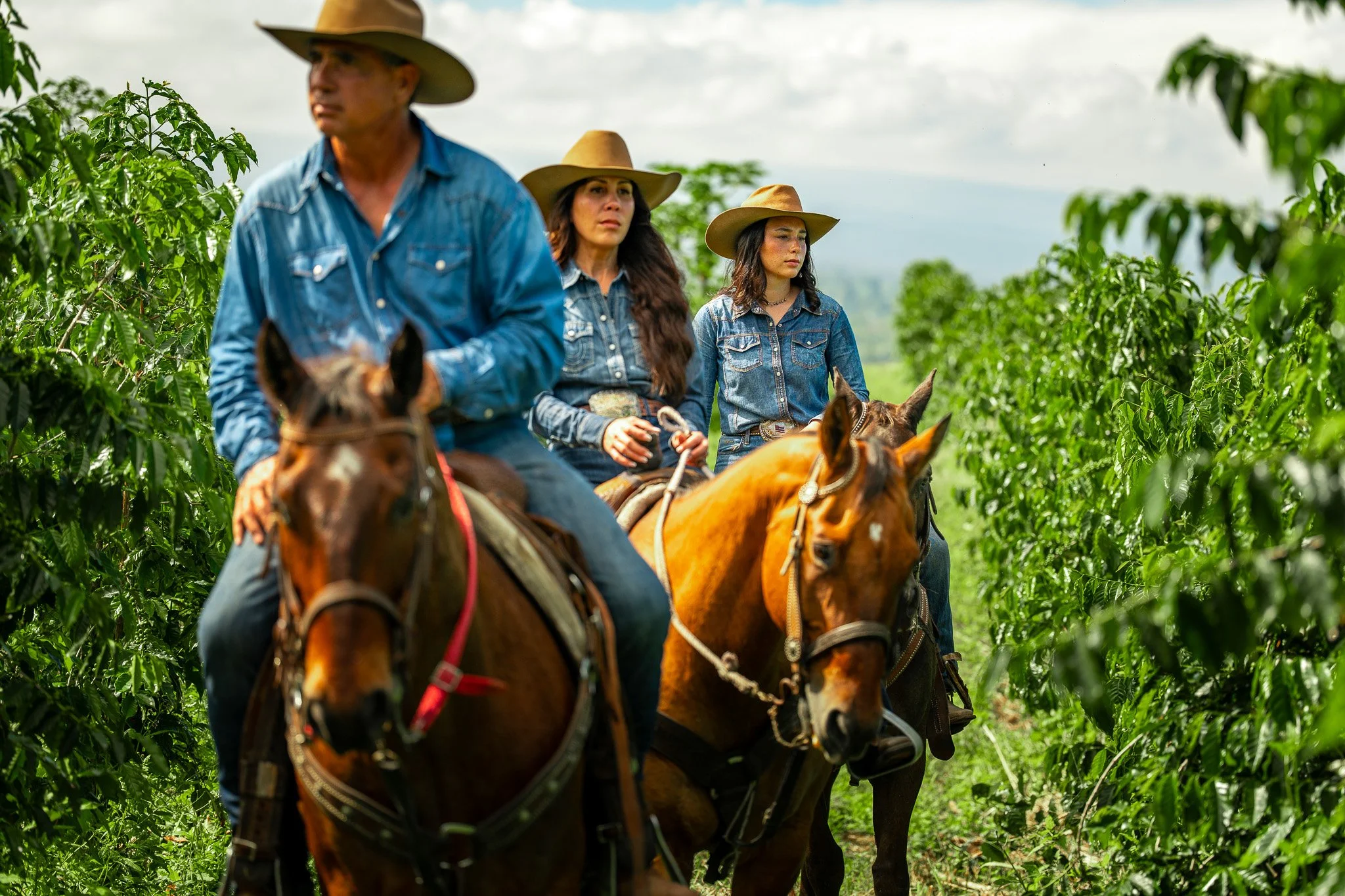 Cattlemen's-Hawaii-Jesse-Cudworth-Photography-57.jpg