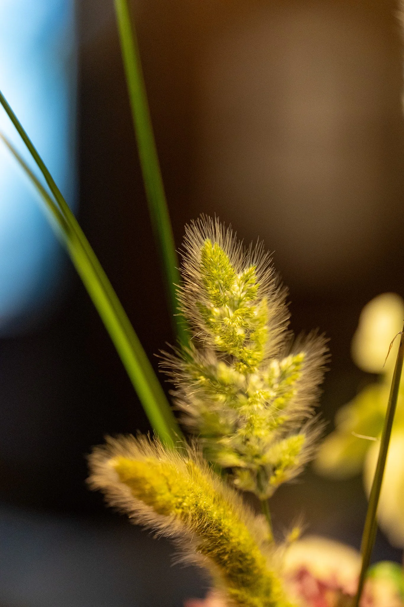 Accenture-saison-Jesse-Cudworth-Photography-36.jpg