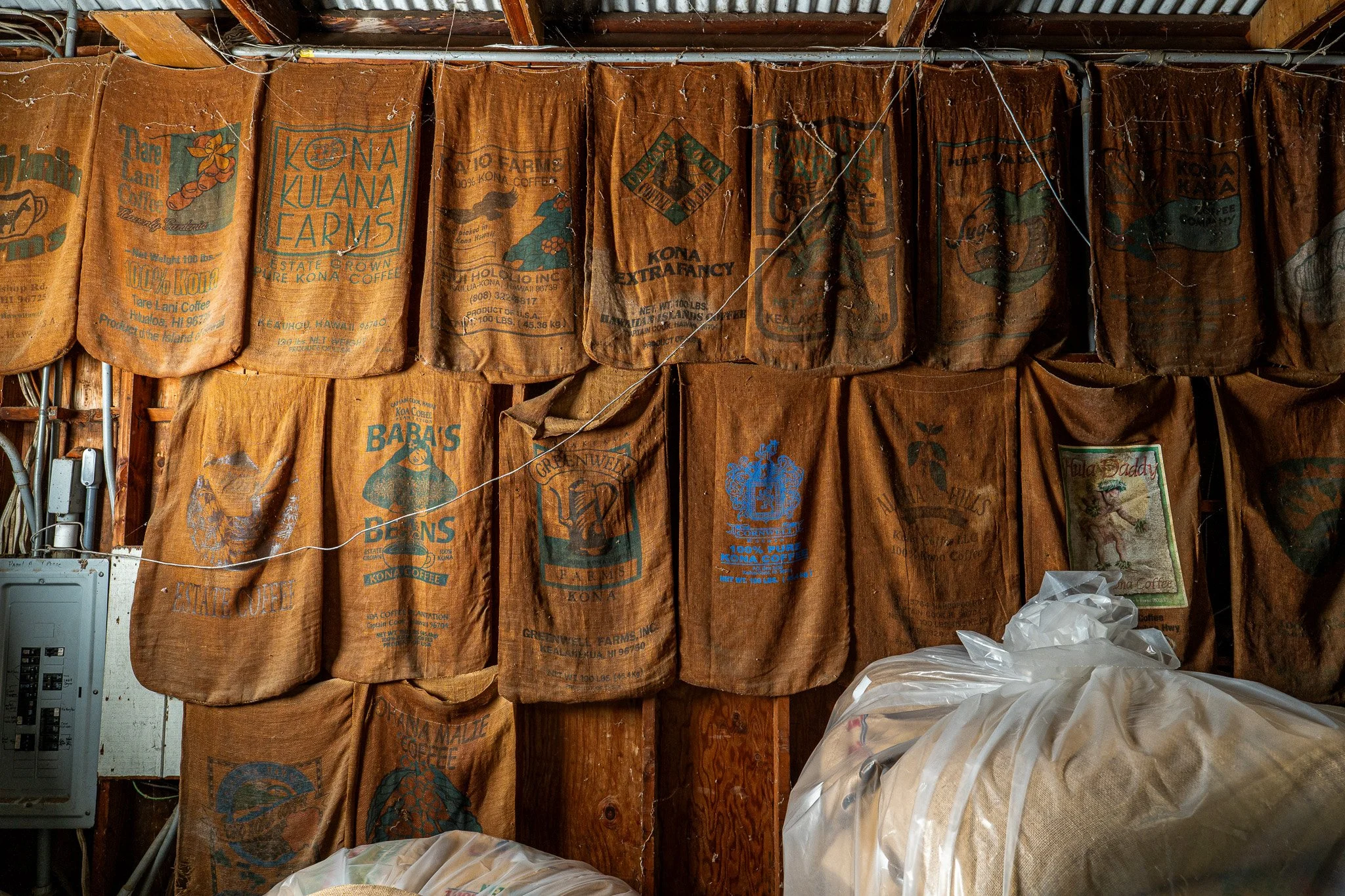 Cattlemen's-Hawaii-Jesse-Cudworth-Photography-127.jpg