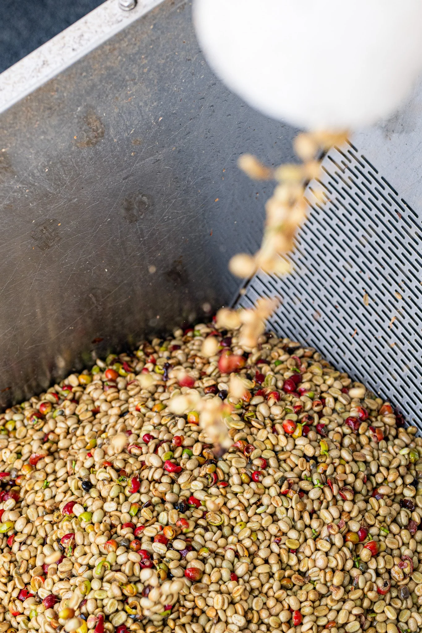 Ka'u Coffee Mill Photography 2-16.jpg