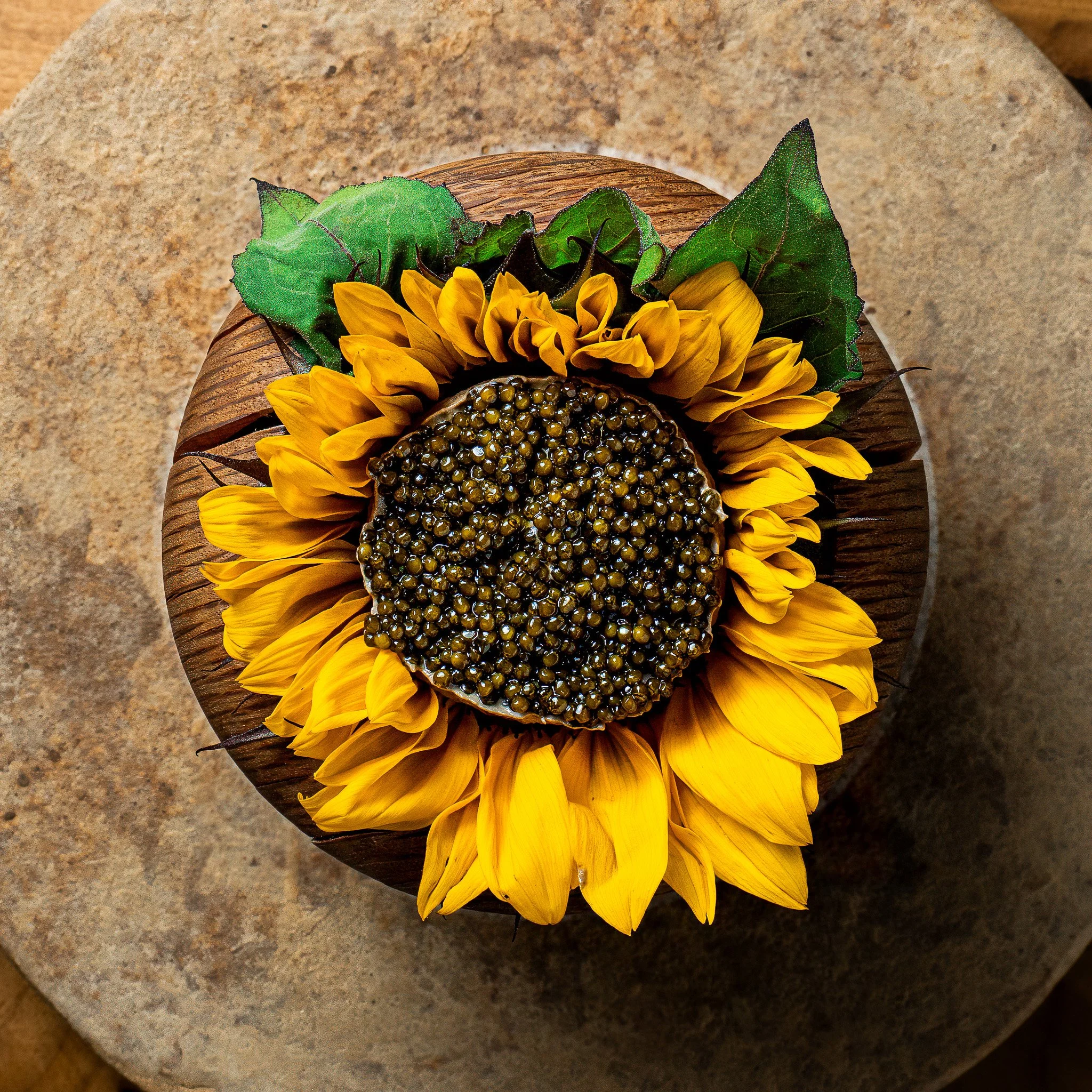 Birdsong x ILIS-40.jpg