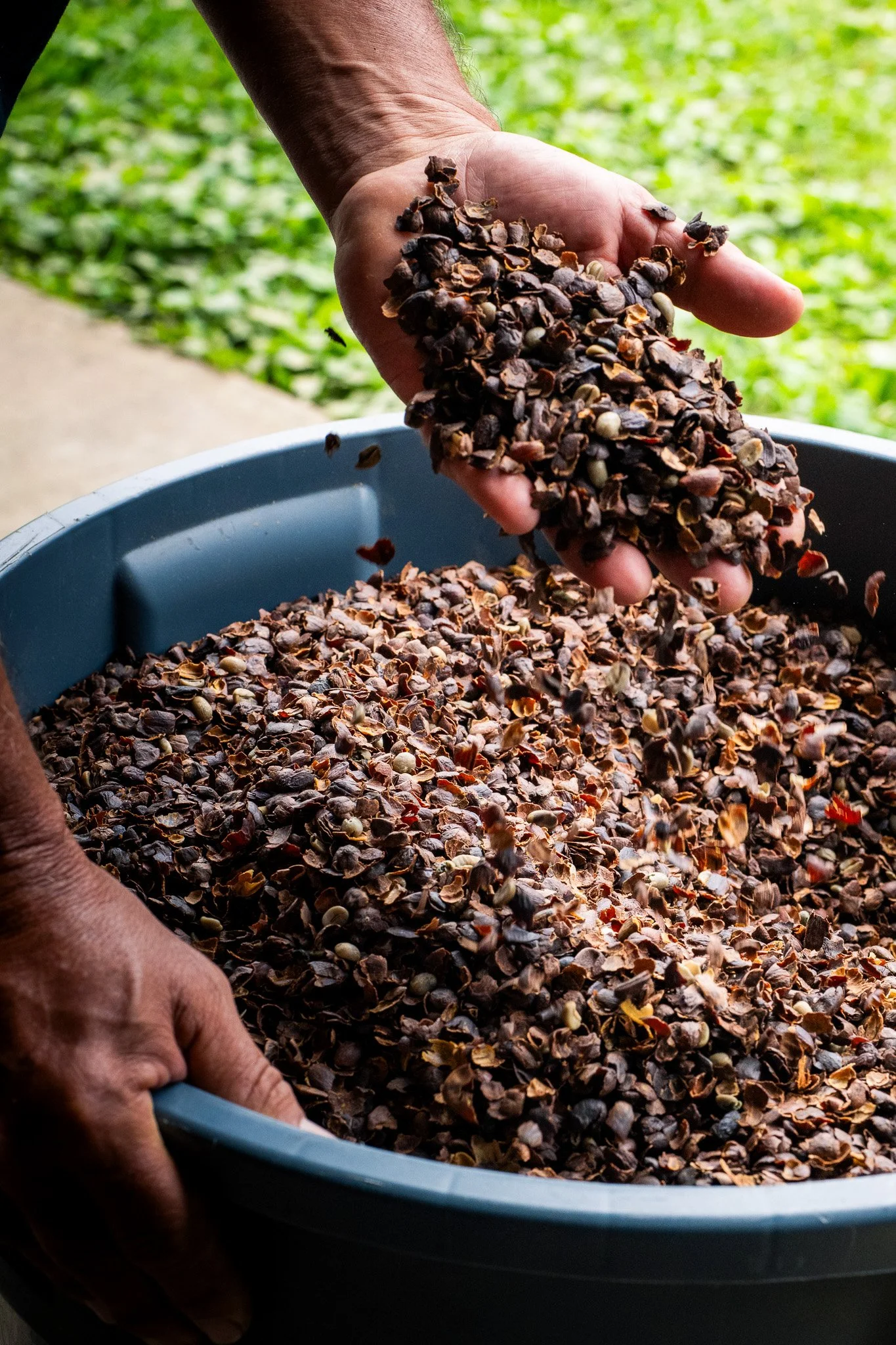 Ka'u Coffee Mill Photography-152.jpg