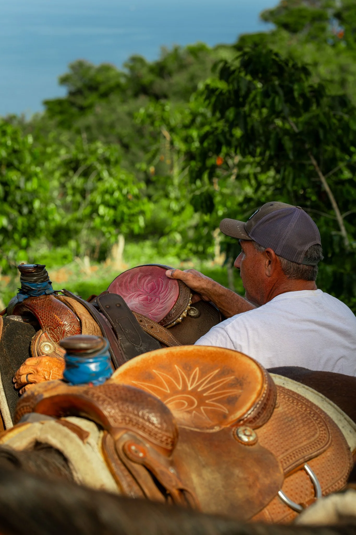 Cattlemen's-Hawaii-Jesse-Cudworth-Photography-3.jpg