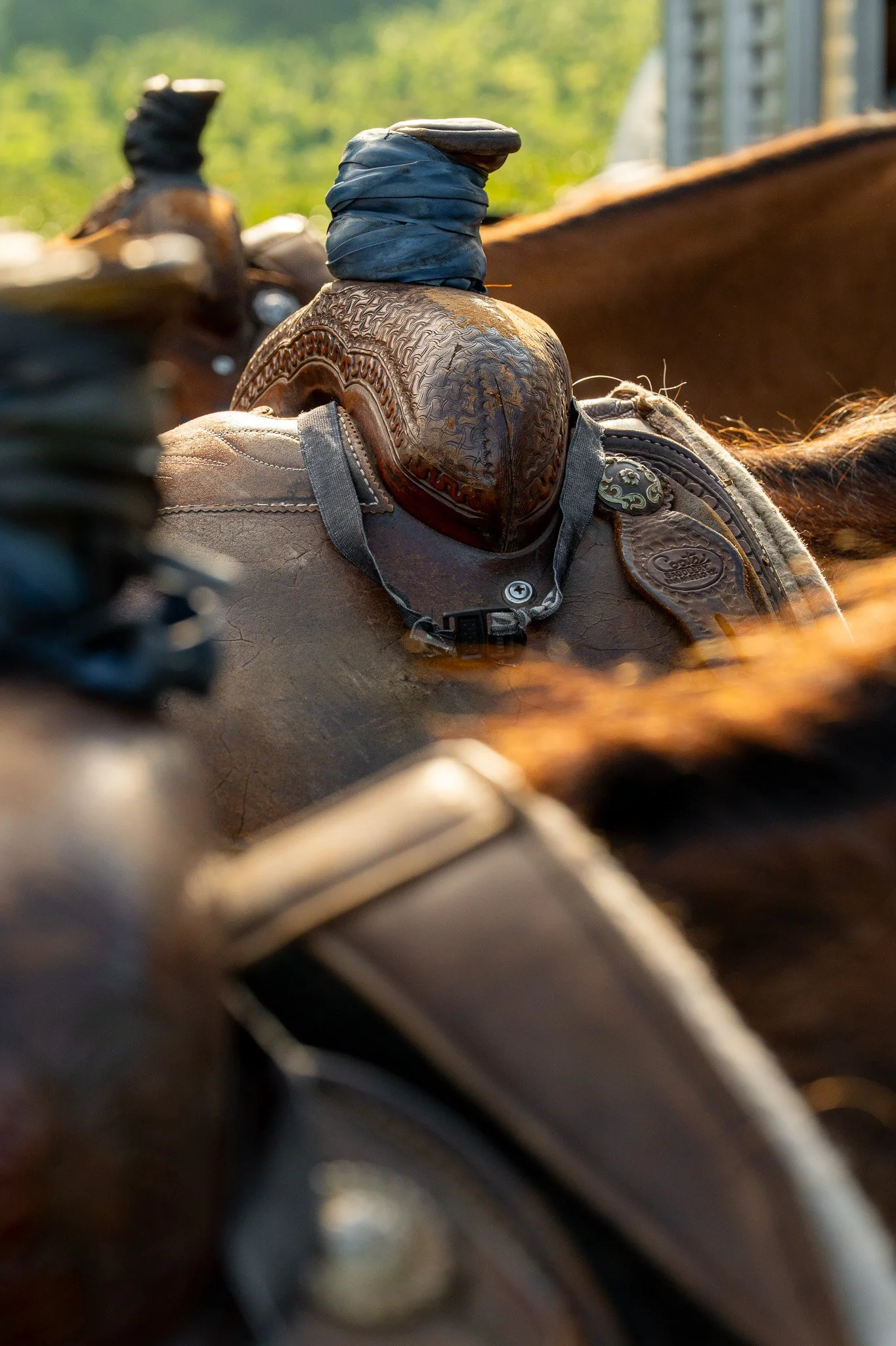 Cattlemen's-Hawaii-Jesse-Cudworth-Photography-12.jpg