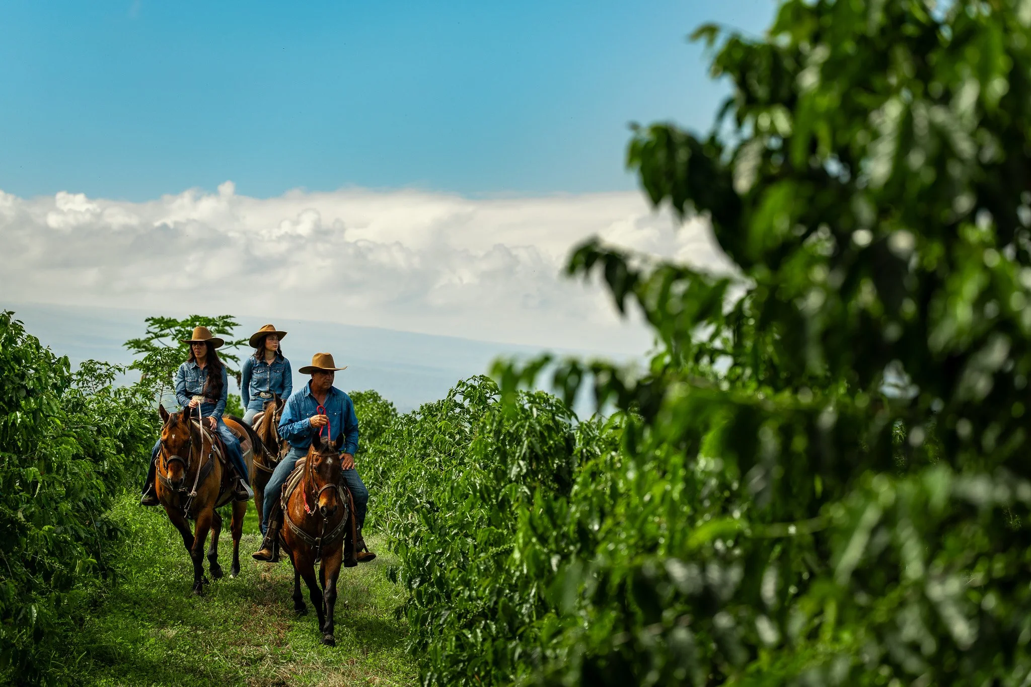 Cattlemen's-Hawaii-Jesse-Cudworth-Photography-51.jpg