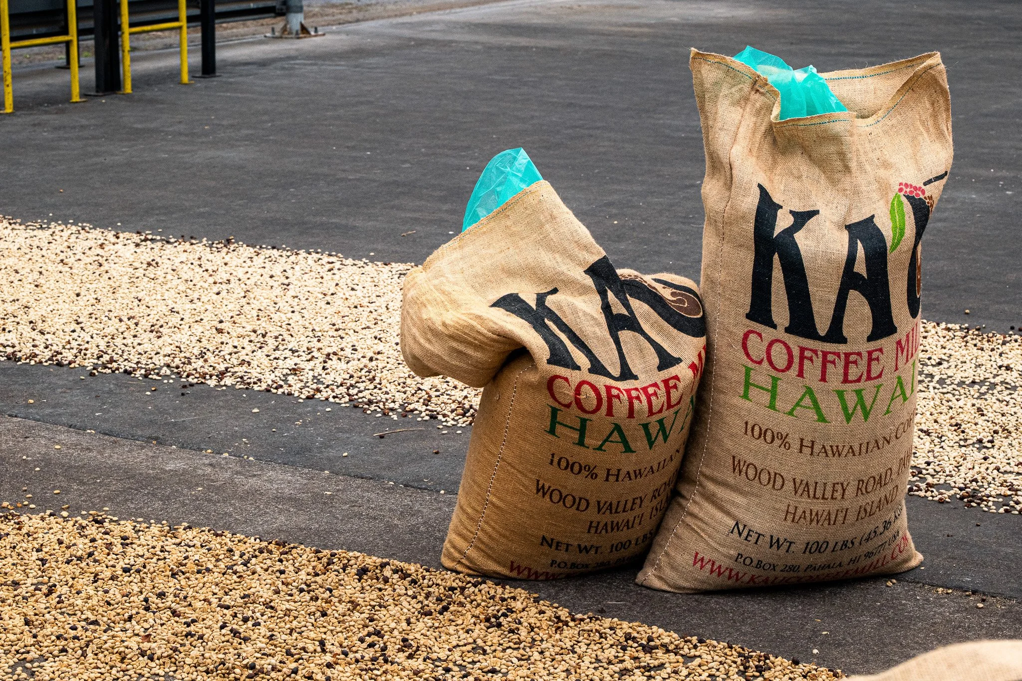 Ka'u Coffee Mill Photography-134.jpg