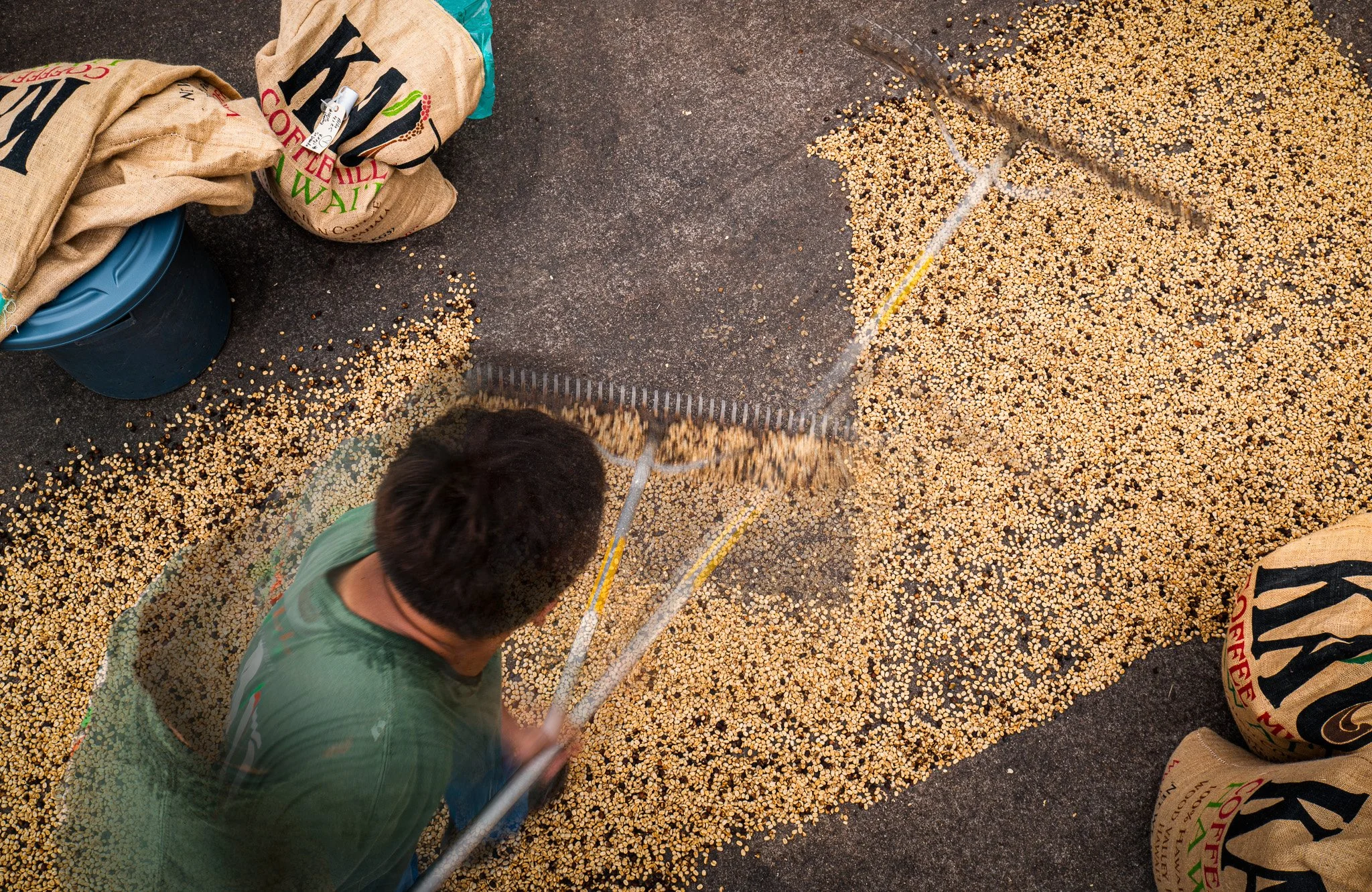 Ka'u Coffee Mill Photography-128.jpg