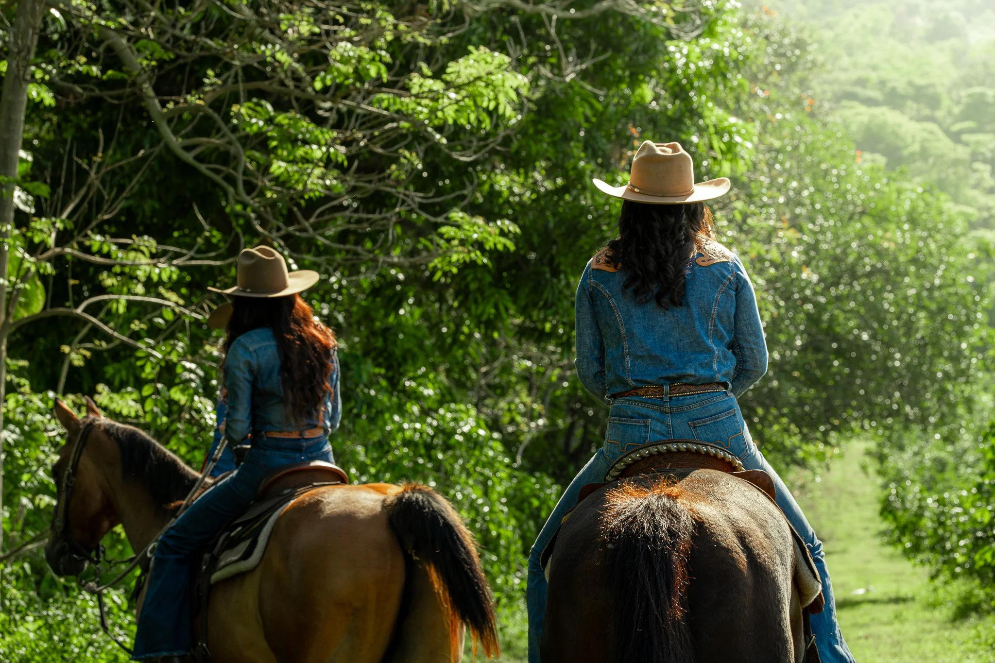 Cattlemen's-Hawaii-Jesse-Cudworth-Photography-23.jpg