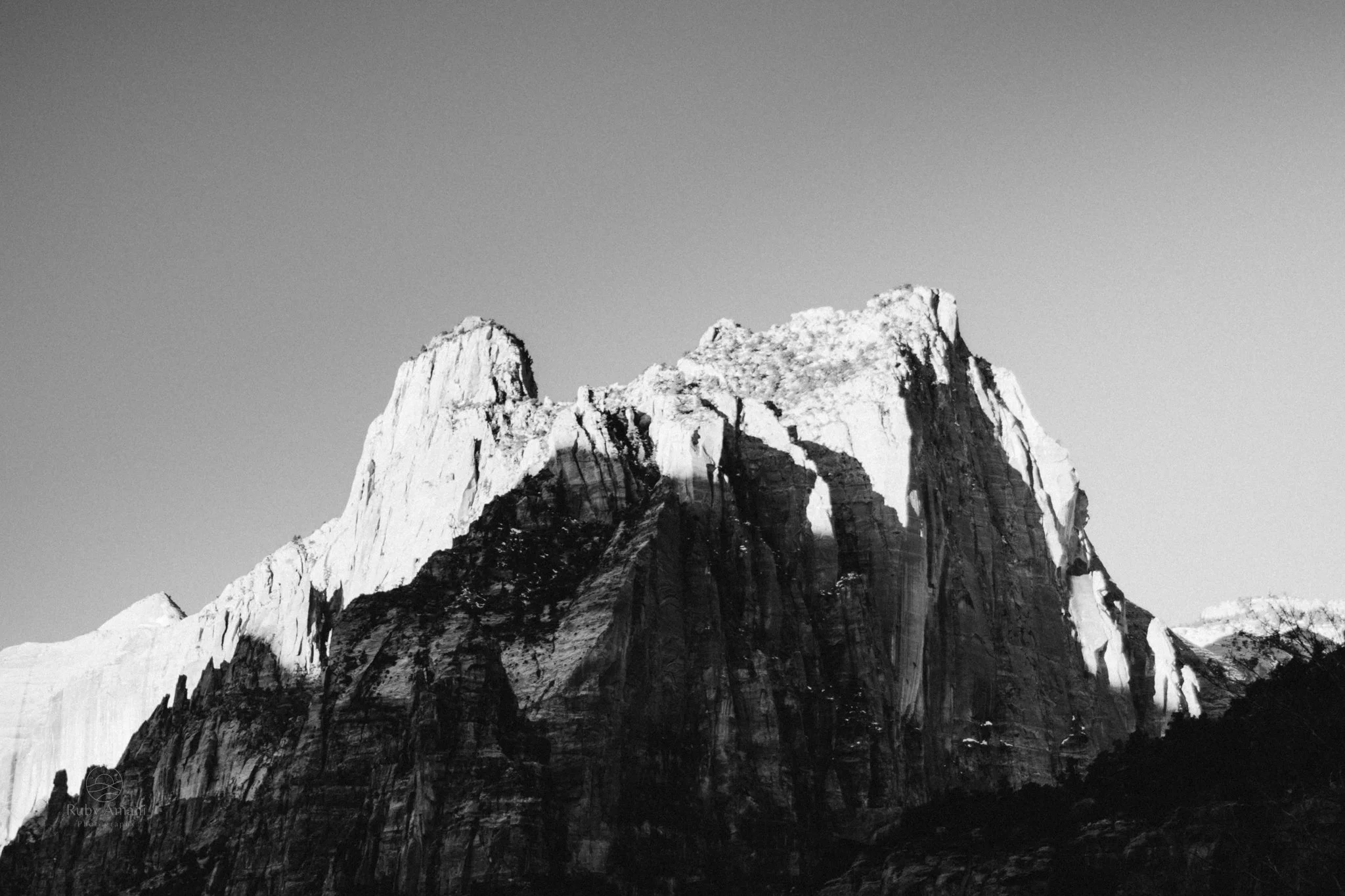 DSC_0154.jpg